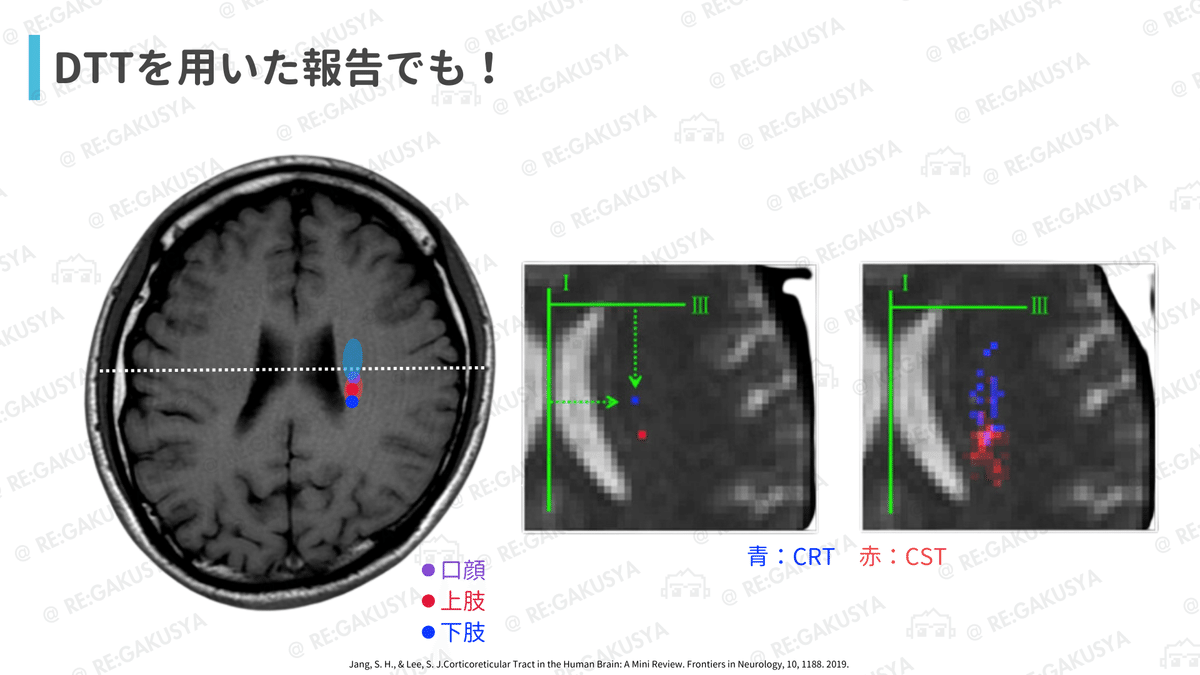 正奇経統合理論とその臨床 正奇経統合理論とその臨床／医歯薬出版株式会社
