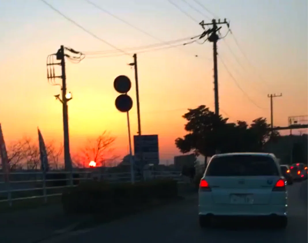 秋の夕暮れは、いとをかし…そしてむくつけし。｜花＊花8787