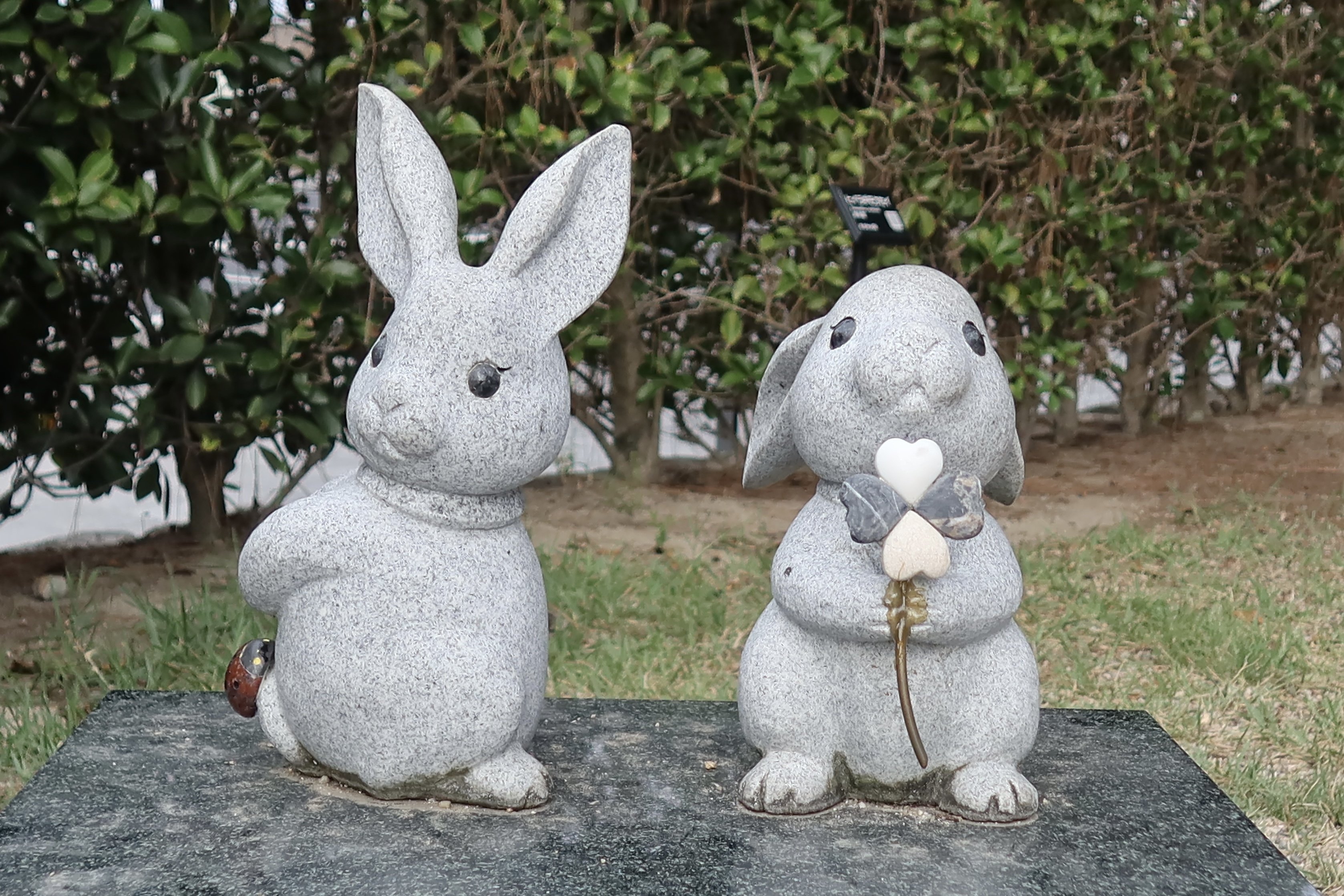 出雲大社のうさぎ｜Aoi