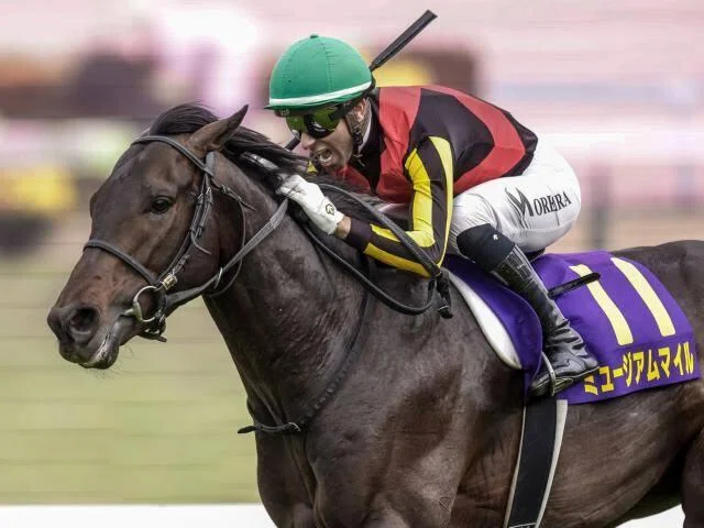 競馬 クリストフ・ルメール No.1騎手 サイン入りゴーグル クリストフ