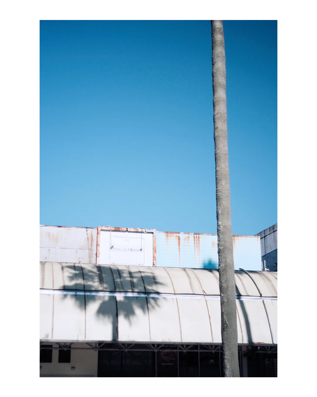 作例・随時更新】Voigtlander NOKTON classic 40mm F1.4 SC｜gura_log