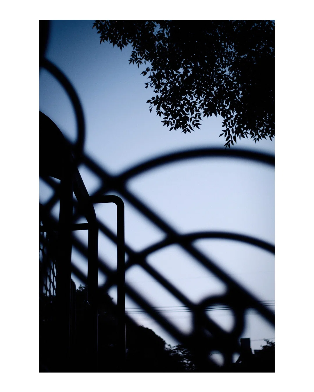 作例・随時更新】Voigtlander NOKTON classic 40mm F1.4 SC｜gura_log