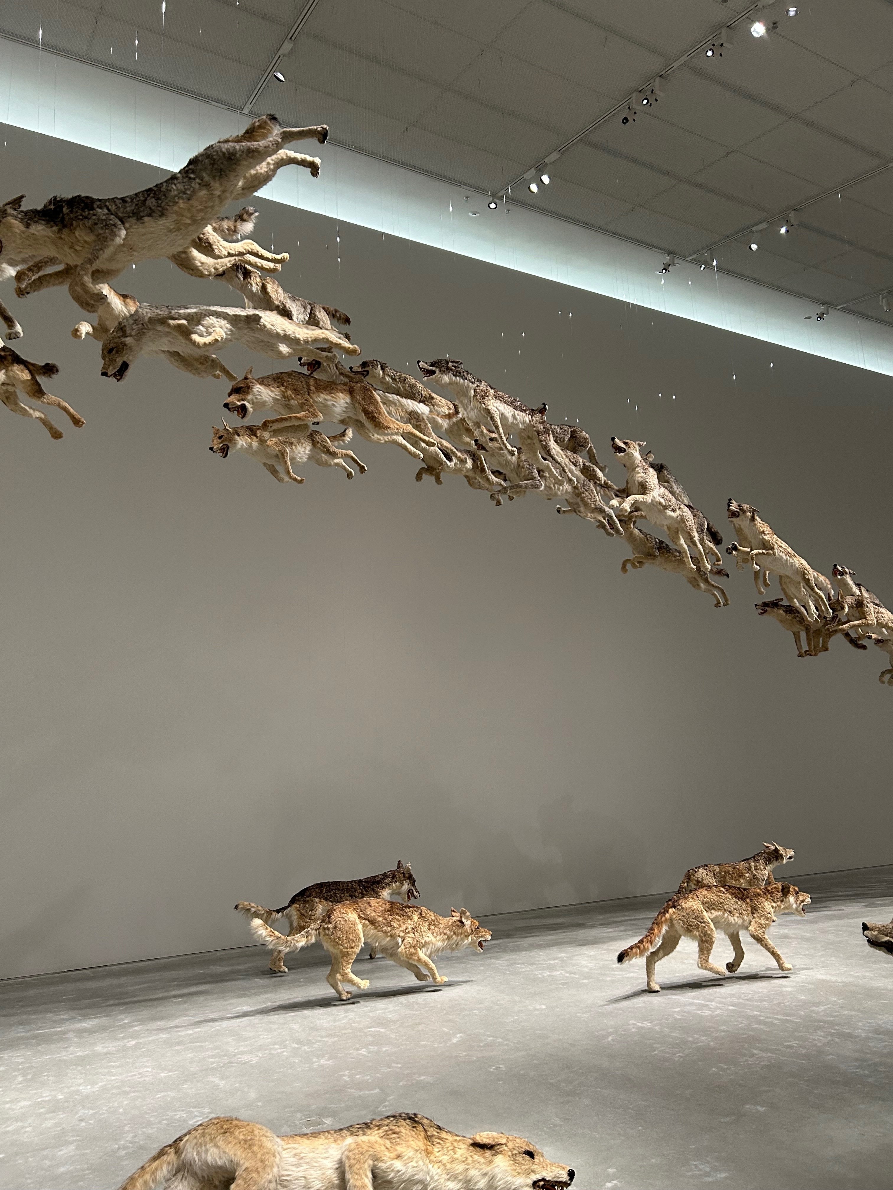 人生が変わる旅｜瀬戸内国際芸術祭2025・夏会期｜女性1人旅｜3泊4日