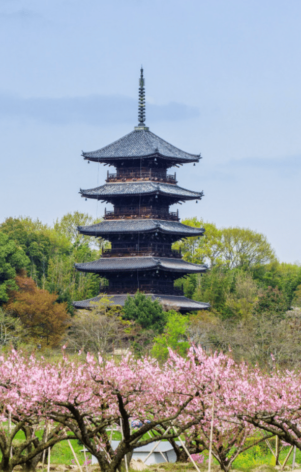 激安❣️富も！開運も！3箇所金運神社⛩️祈祷済み 巡るゴールドサークル Amazon.co.jp: 金運爆上げ 最強金運呼び寄せ 魂入り鍍金製 大国