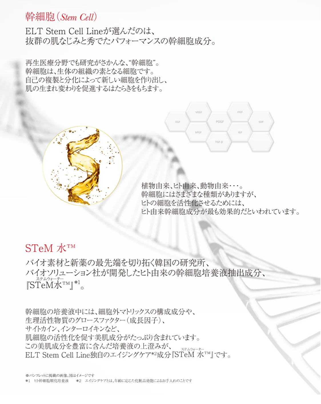 幹細胞培養液STeM水配合【アンチトン】特集｜メイクとコスメのセレクト