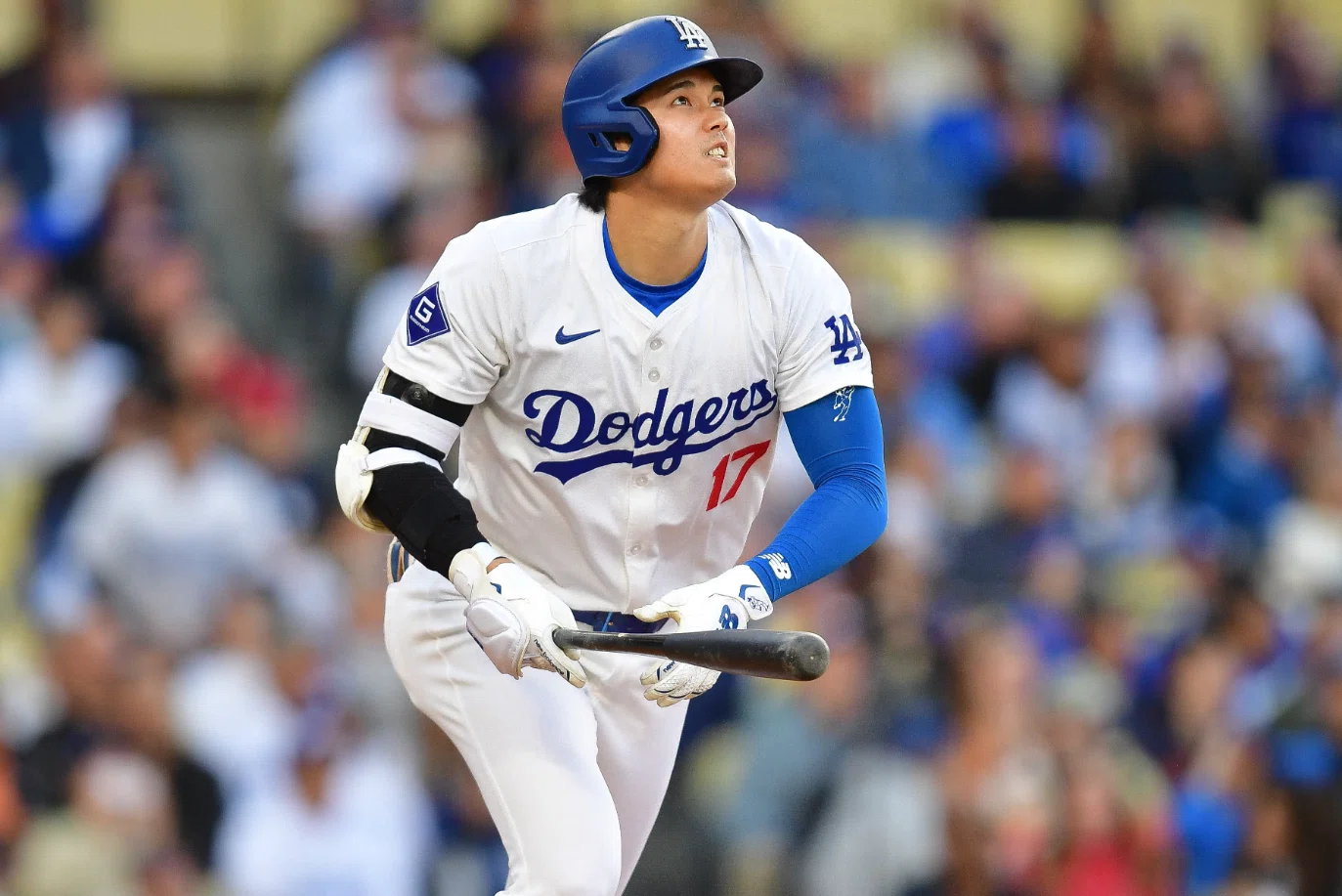 メジャーリーグ個人的選抜チーム｜猫の恩返し