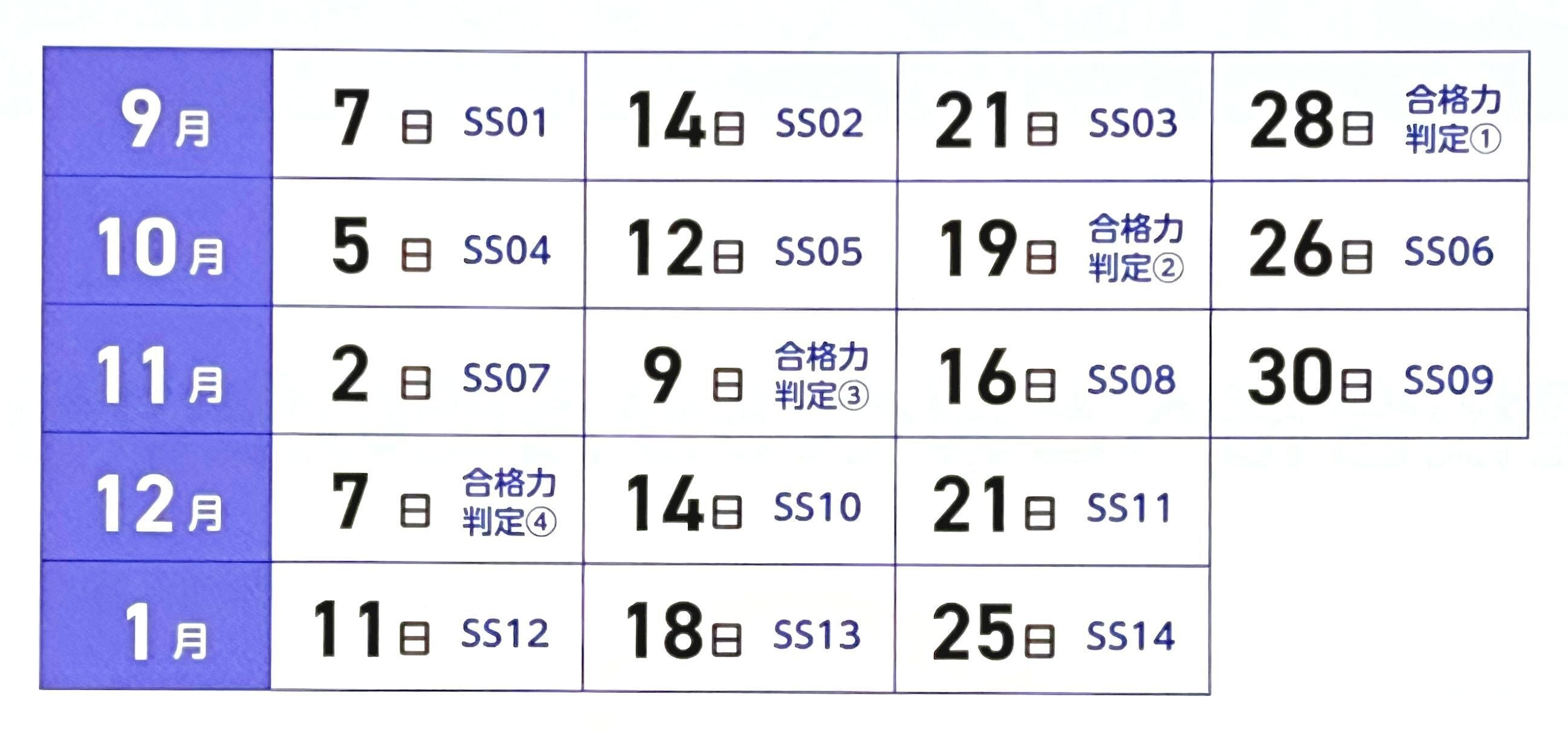 中学受験】小6の娘がSS特訓を受けてきた！【サピックスα1・秋の