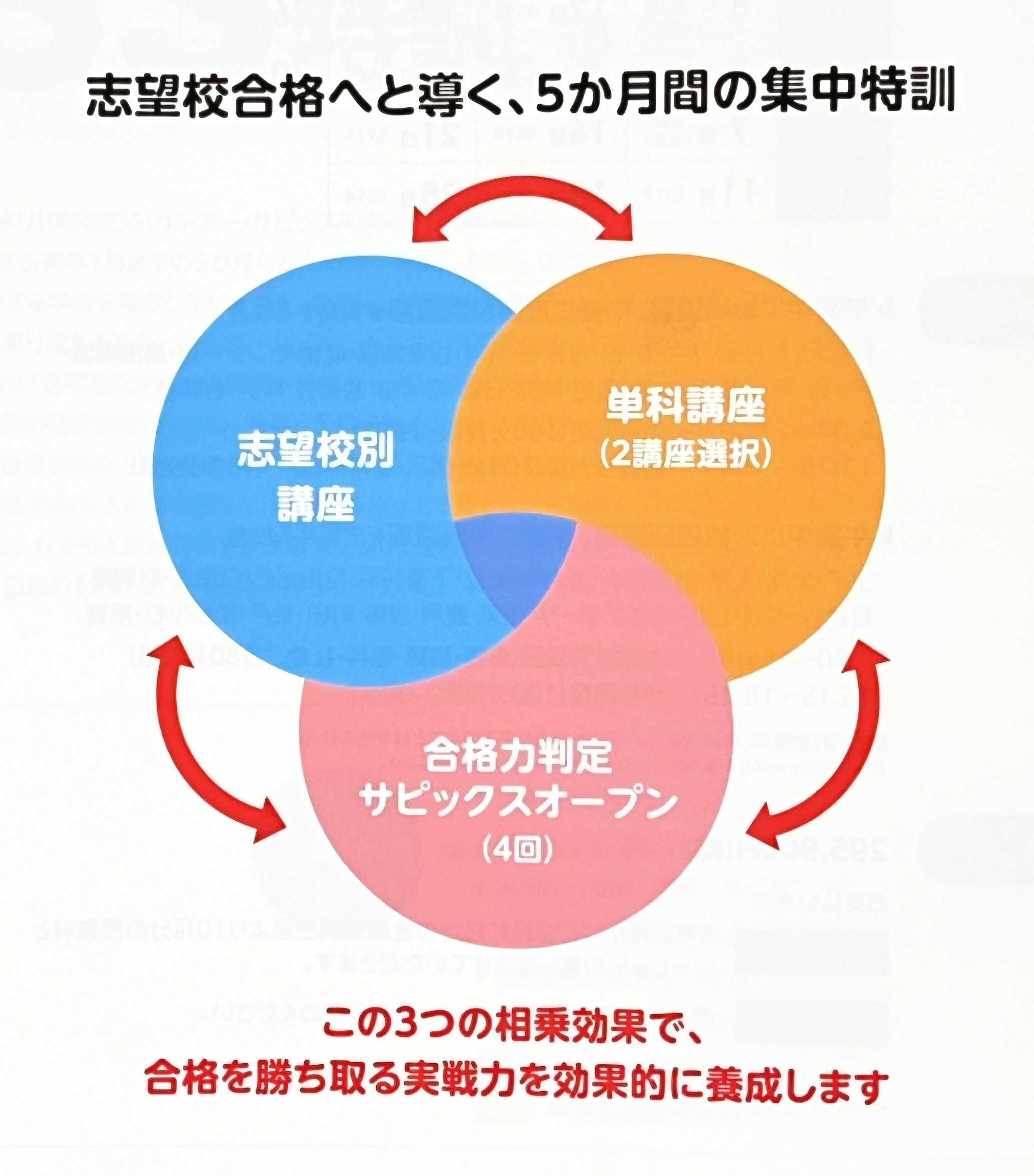 中学受験】小6の娘がSS特訓を受けてきた！【サピックスα1・秋の
