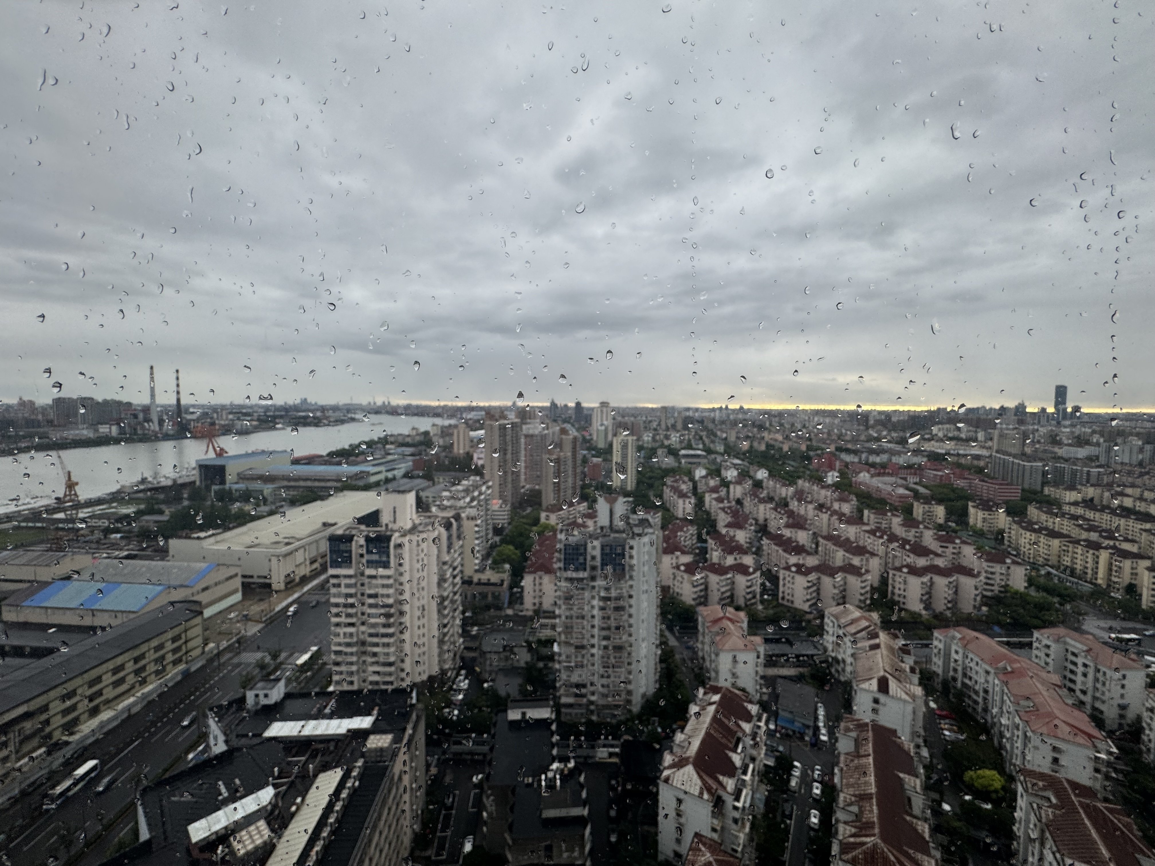 中国旅2025 台風直撃の上海と滞在記｜Goda | 🎮Game Producer