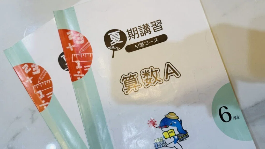 中学受験】小6、夏休みにやったこと｜ぽりぽり医