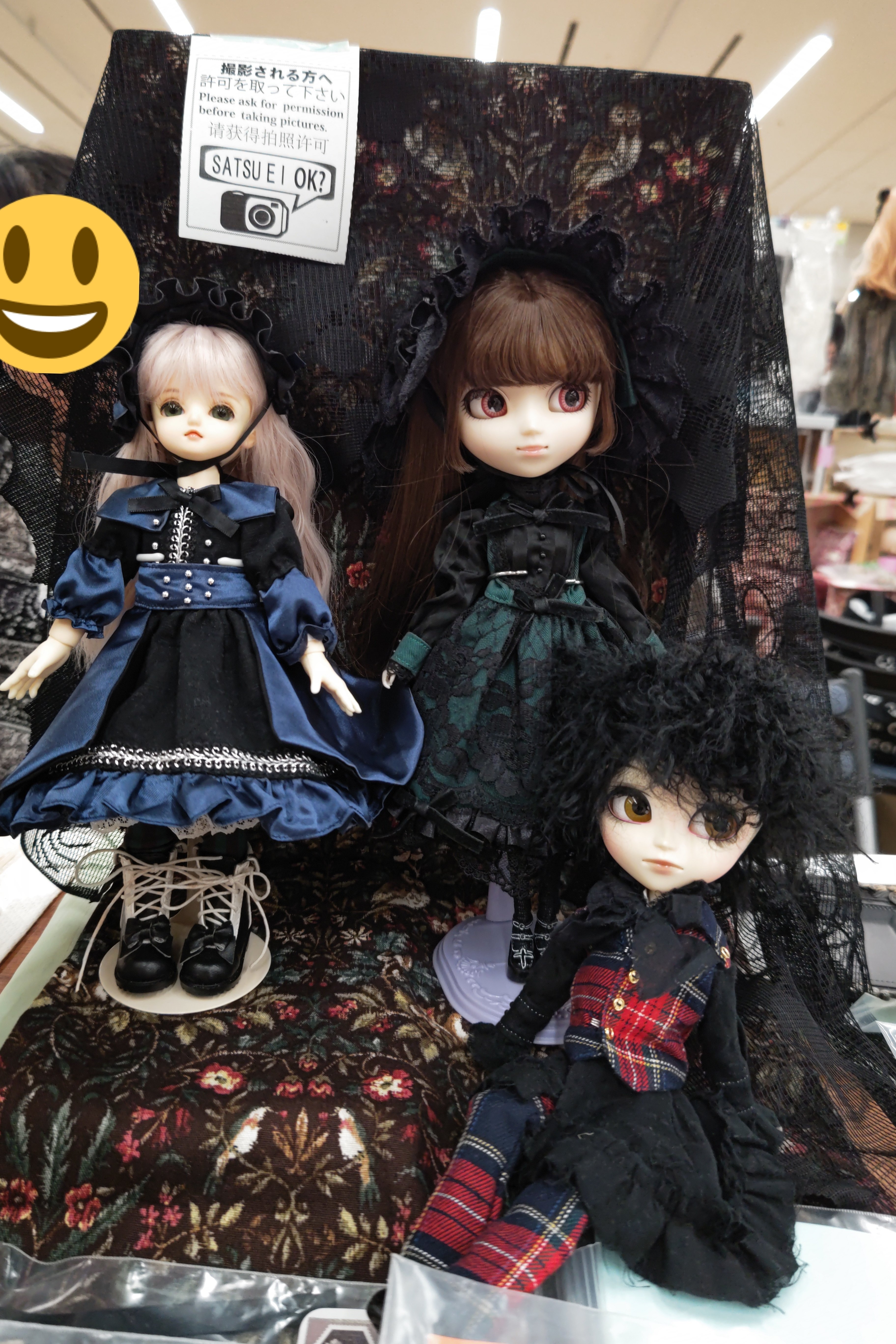 angryドールズ 限定CD 人生枯れ葉色 angryドールズ 限定CD 人生枯れ葉色 angryドールズ 限定CD 人生