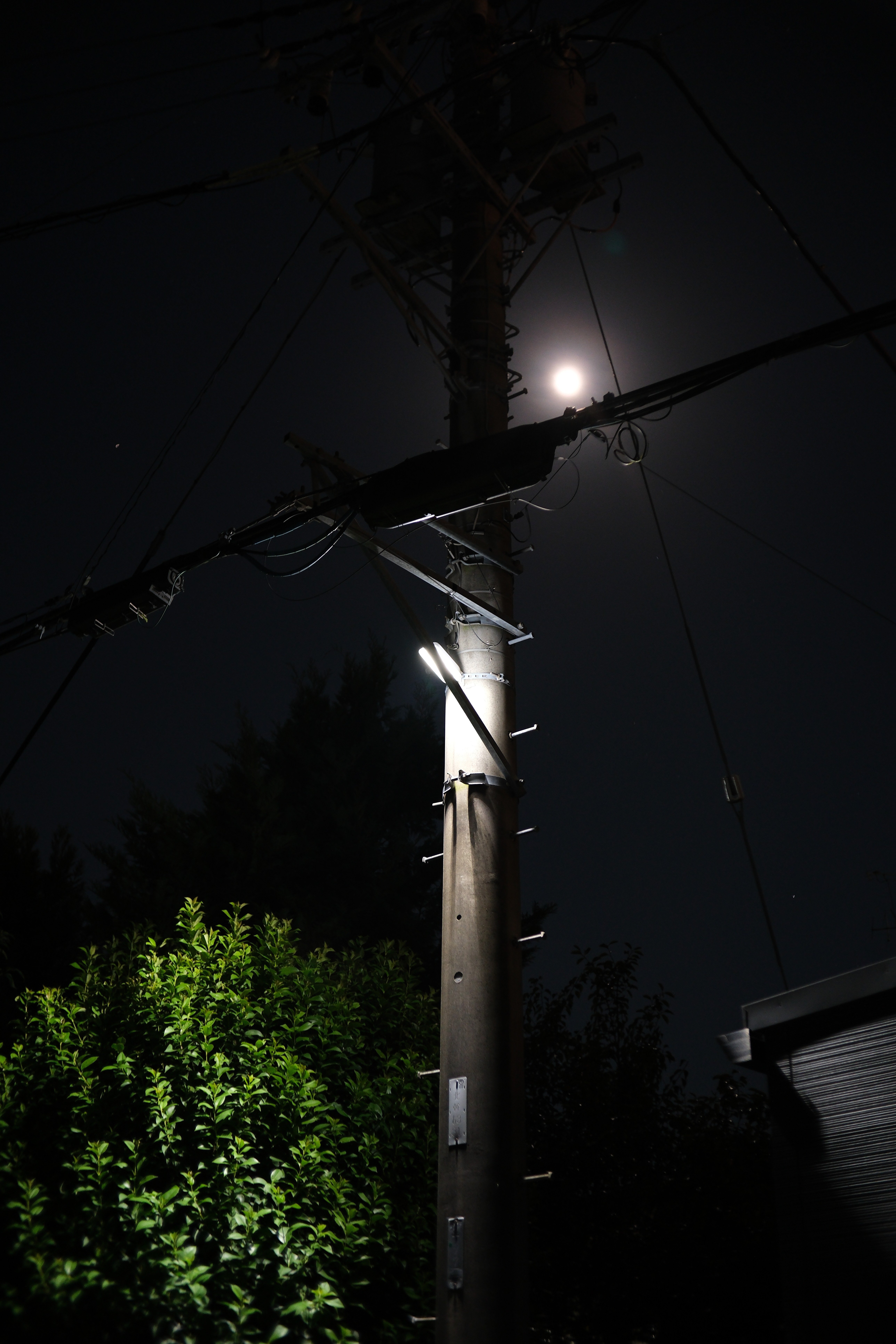 2025年9月7日 ずっと月夜だったら良いのに､X-E5 SG-Image AF