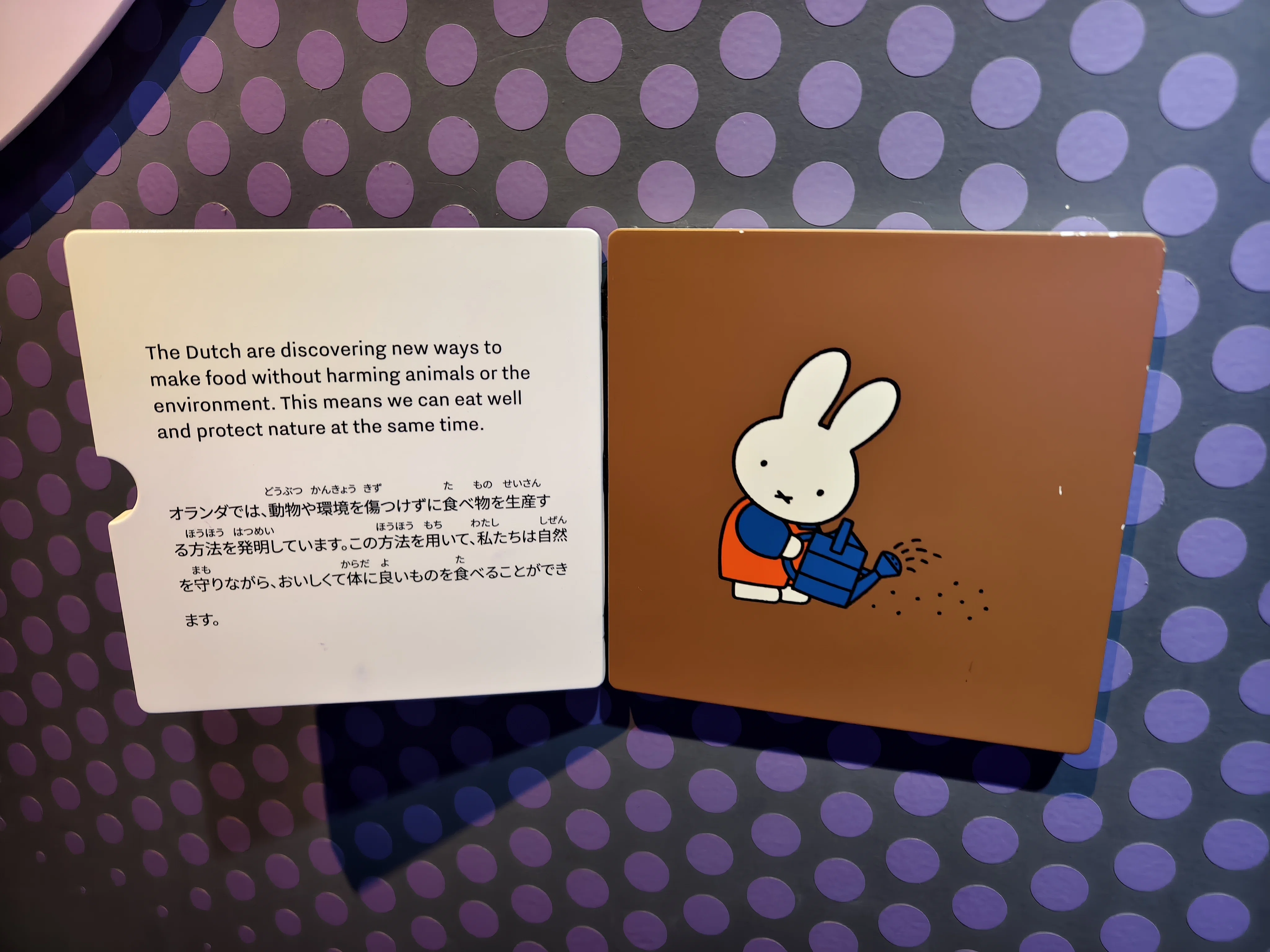 大阪関西万博 パビリオン備忘録｜たっかー