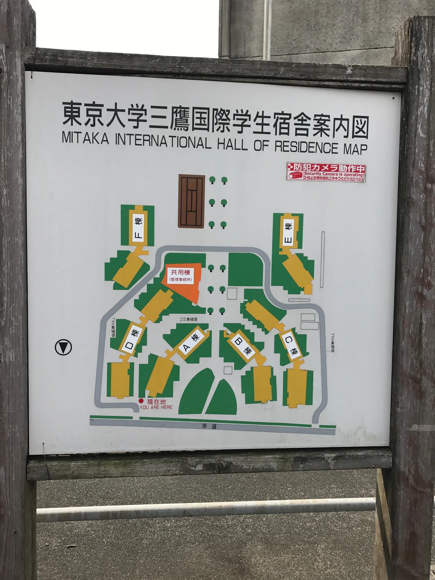 当時のメディア報道・掲載写真