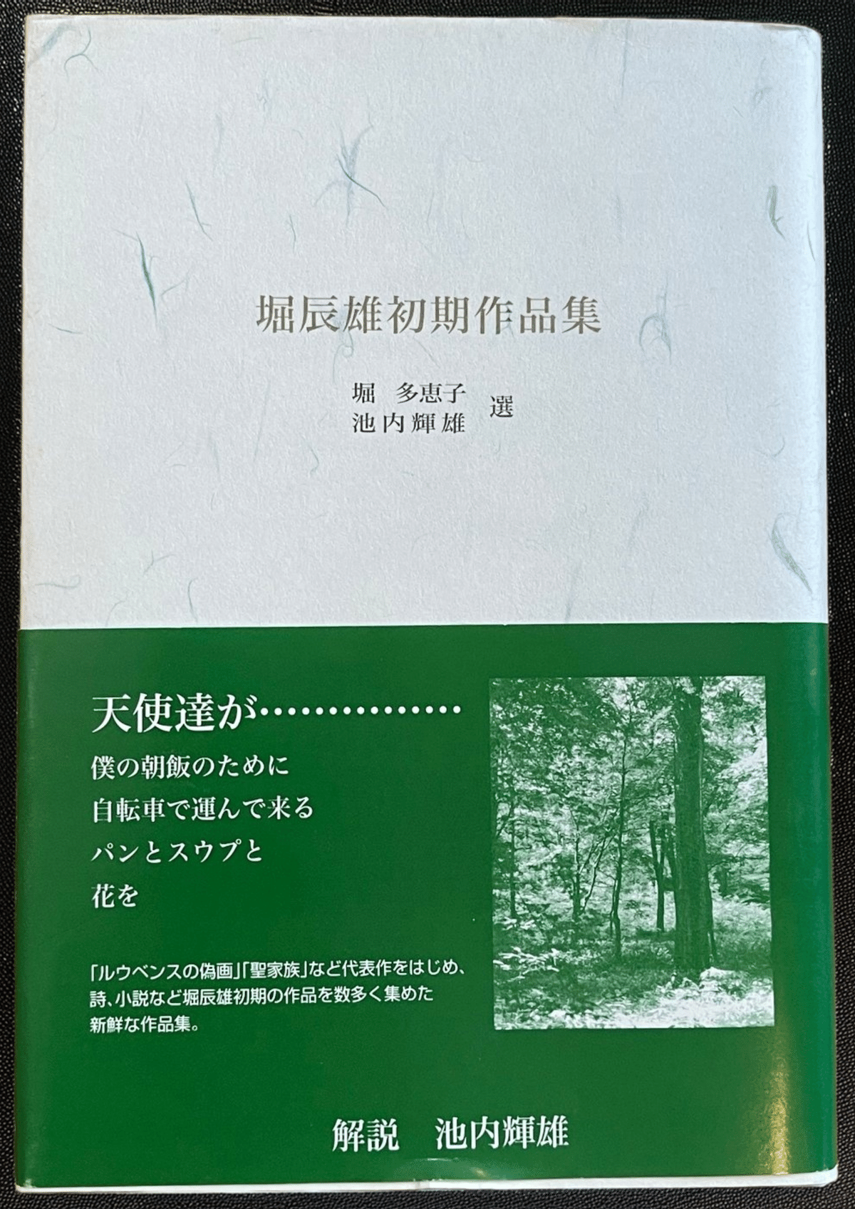 堀辰雄「ルウベンスの偽画」を読んで。｜新井仁之@数学・数理