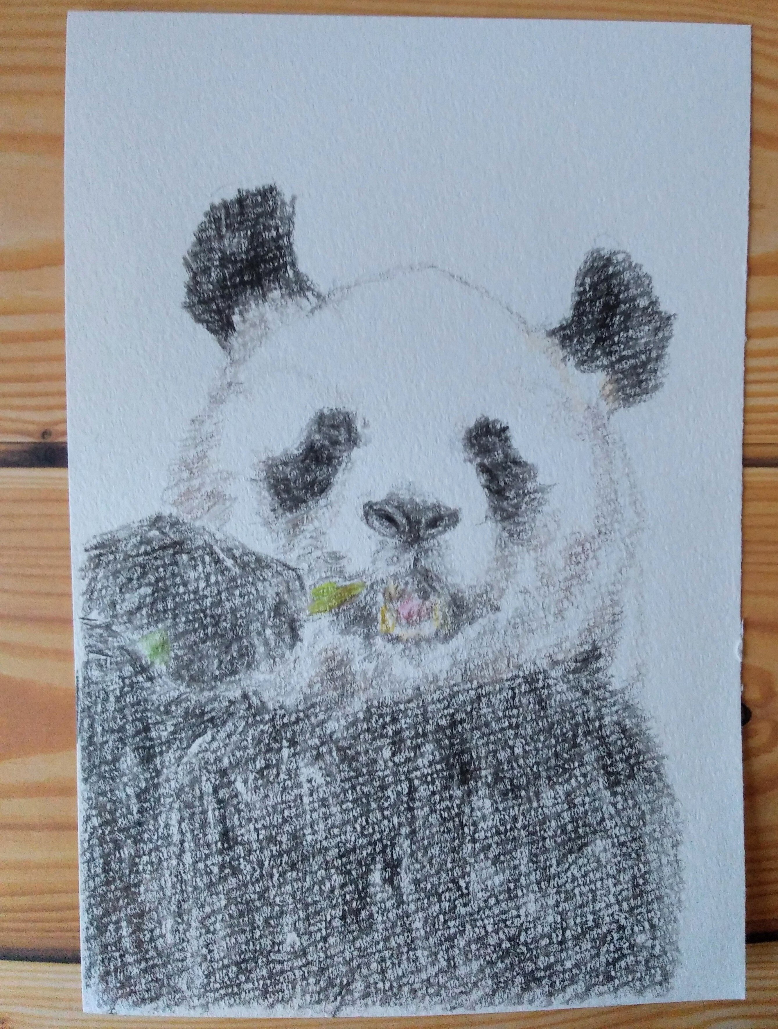 “やっほい” 色鉛筆画 パステル パンダ やっほい” 色鉛筆画 パステル パンダ カラフルパンダ 自分らしく