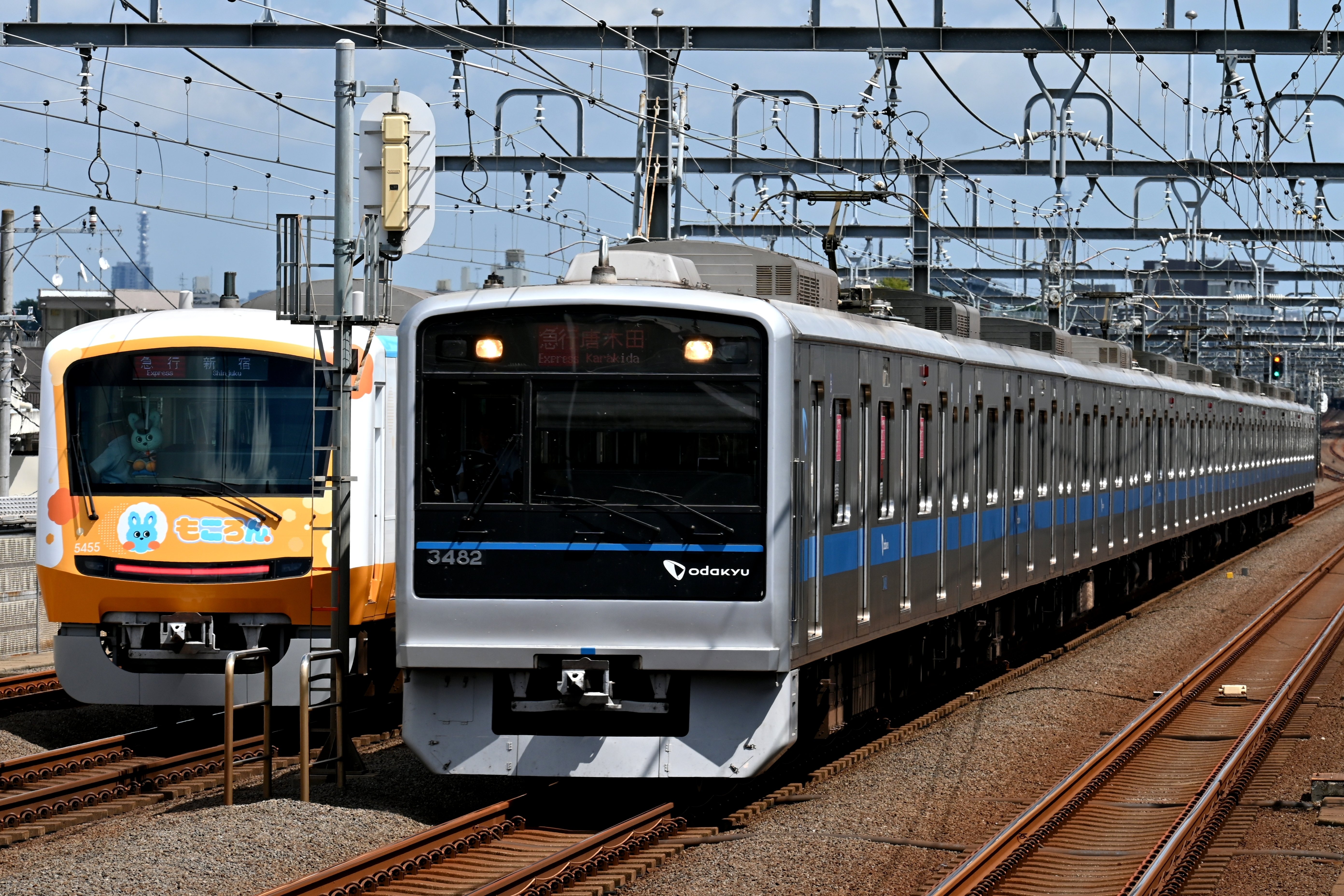 小田急電鉄 月1回の「クヤ検」と可愛い「もころん号」を撮る！｜隣の