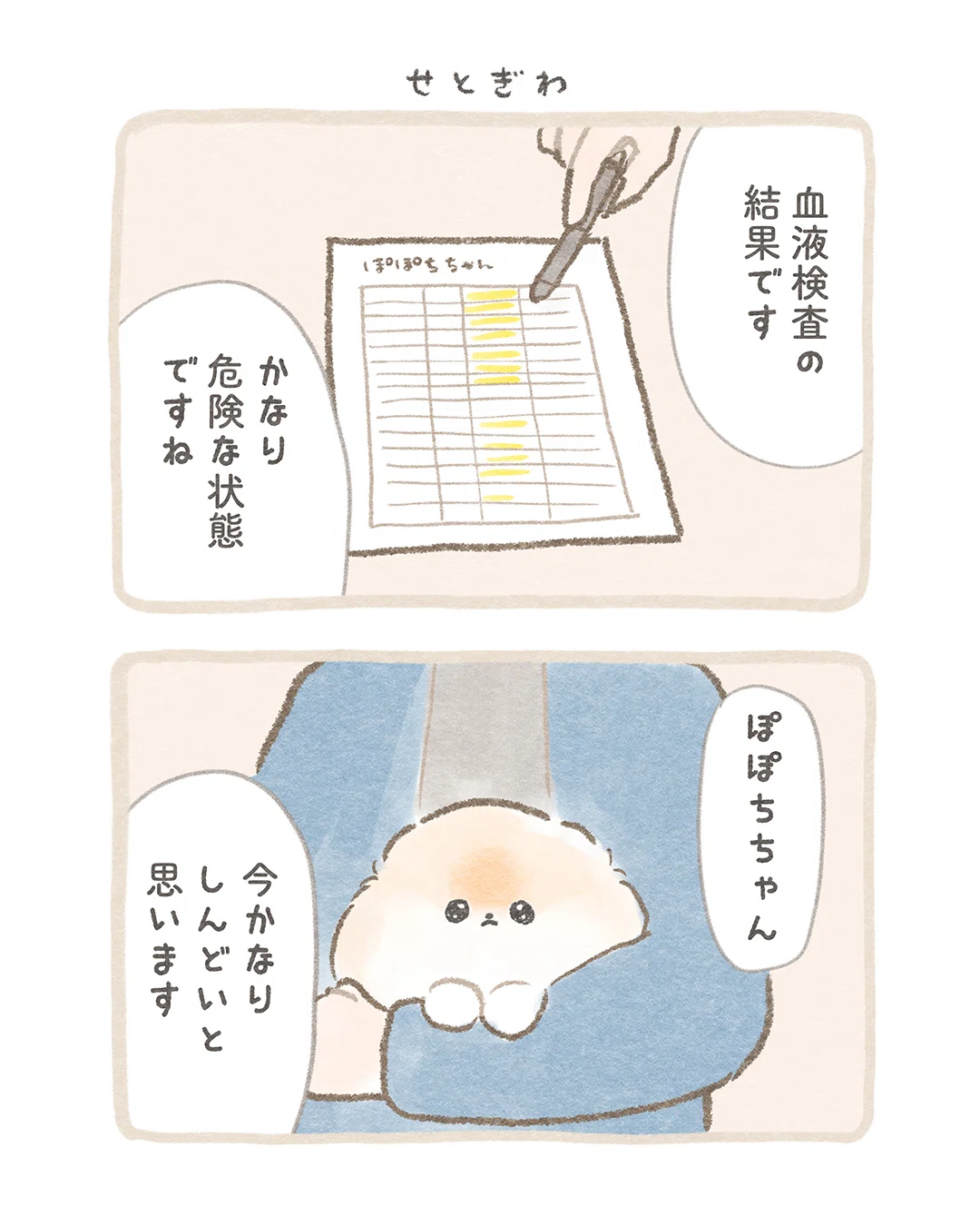 マンガ】 ふわふわポメのぽぽち2（18） 「せとぎわ」｜ぽこ︱ぽぽちの