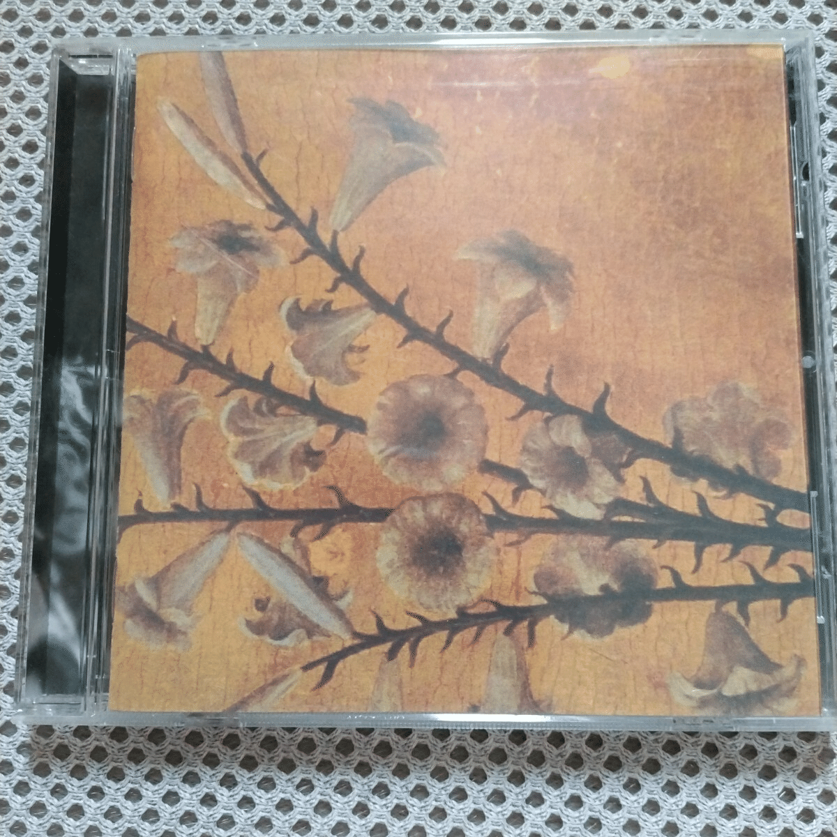 令和にV系名盤を聴こうvol.1 黒夢「迷える百合達〜Romance of Scarlet