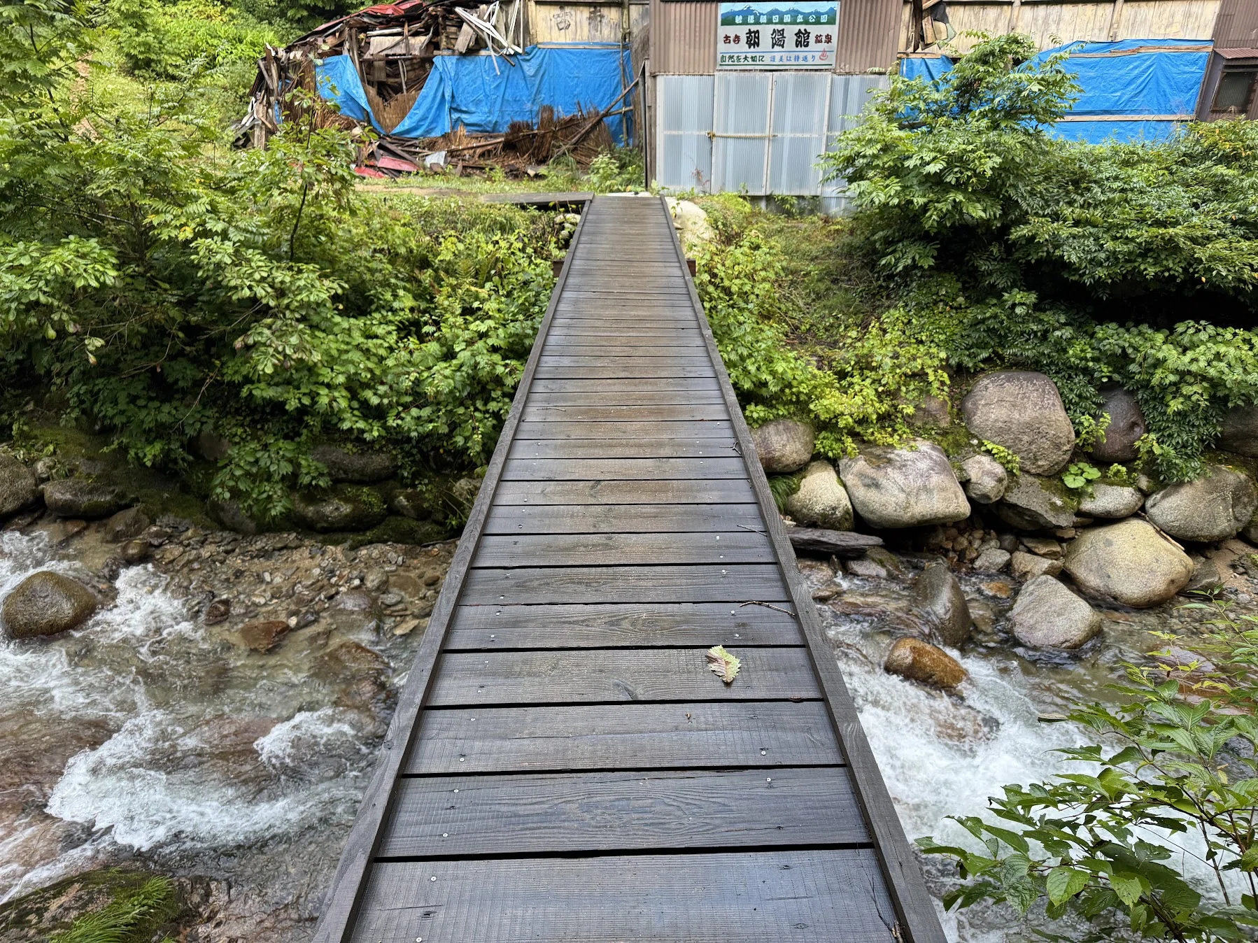 ≪登山旅行記≫朝日連峰の主峰 大朝日岳へ｜ミズ