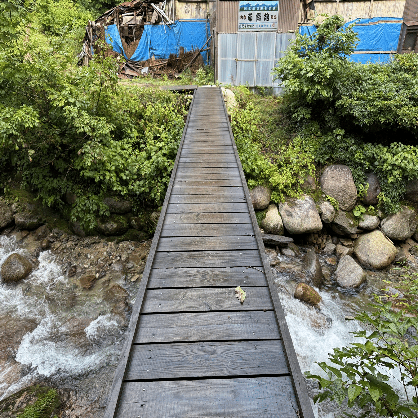 ≪登山旅行記≫朝日連峰の主峰 大朝日岳へ｜ミズ