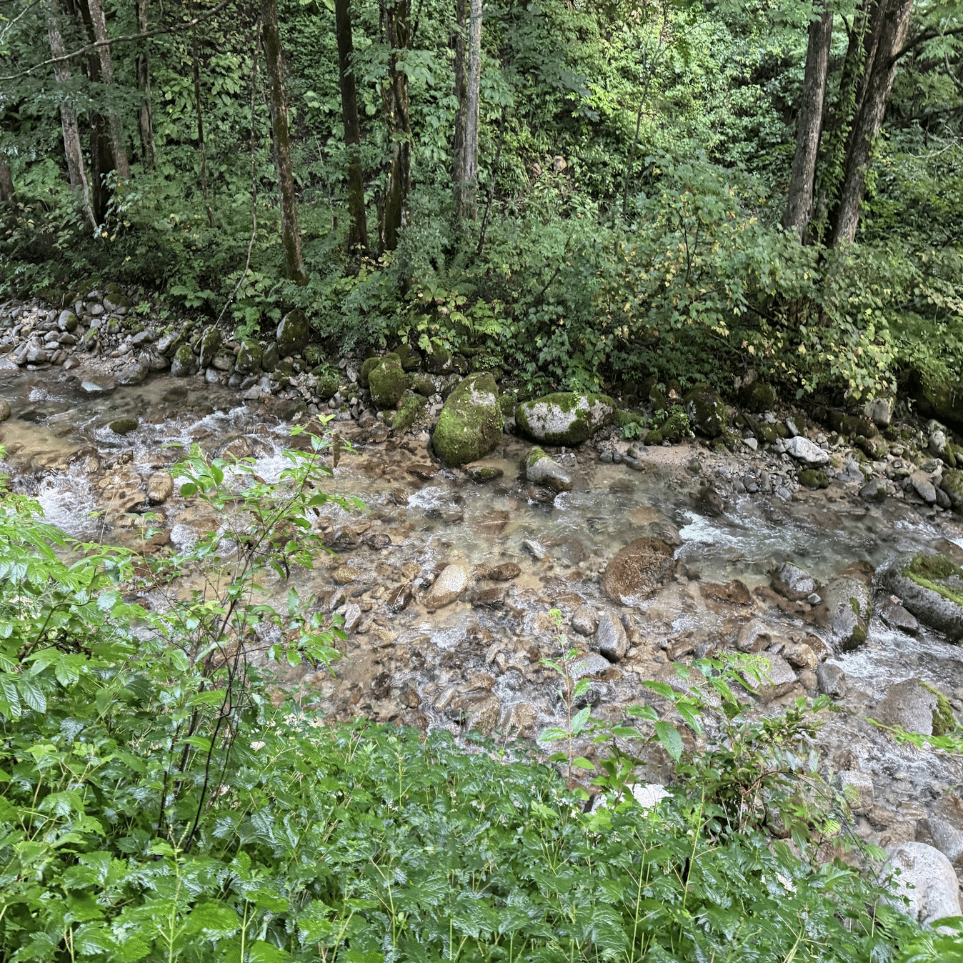 ≪登山旅行記≫朝日連峰の主峰 大朝日岳へ｜ミズ