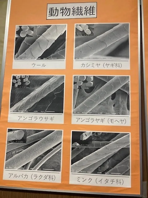株式会社鈴六-新着ブログ-愛知の繊維研究施設！尾張繊維技術センターを