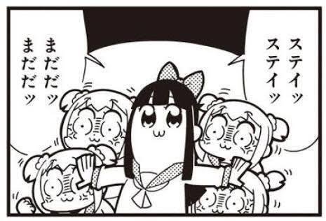 自由度が高い アナカラーマルル2種の解説（ガイアッシュマルル）（アナ