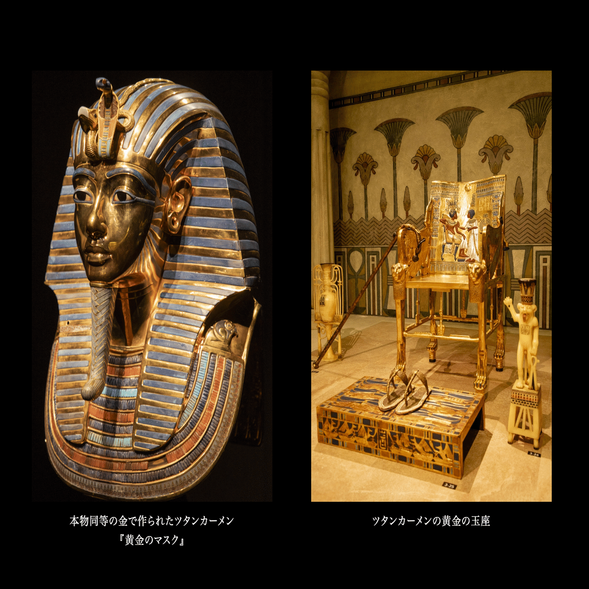 体験レビュー】ツタンカーメン展 in 横浜みなとみらい｜3Dスキャンで