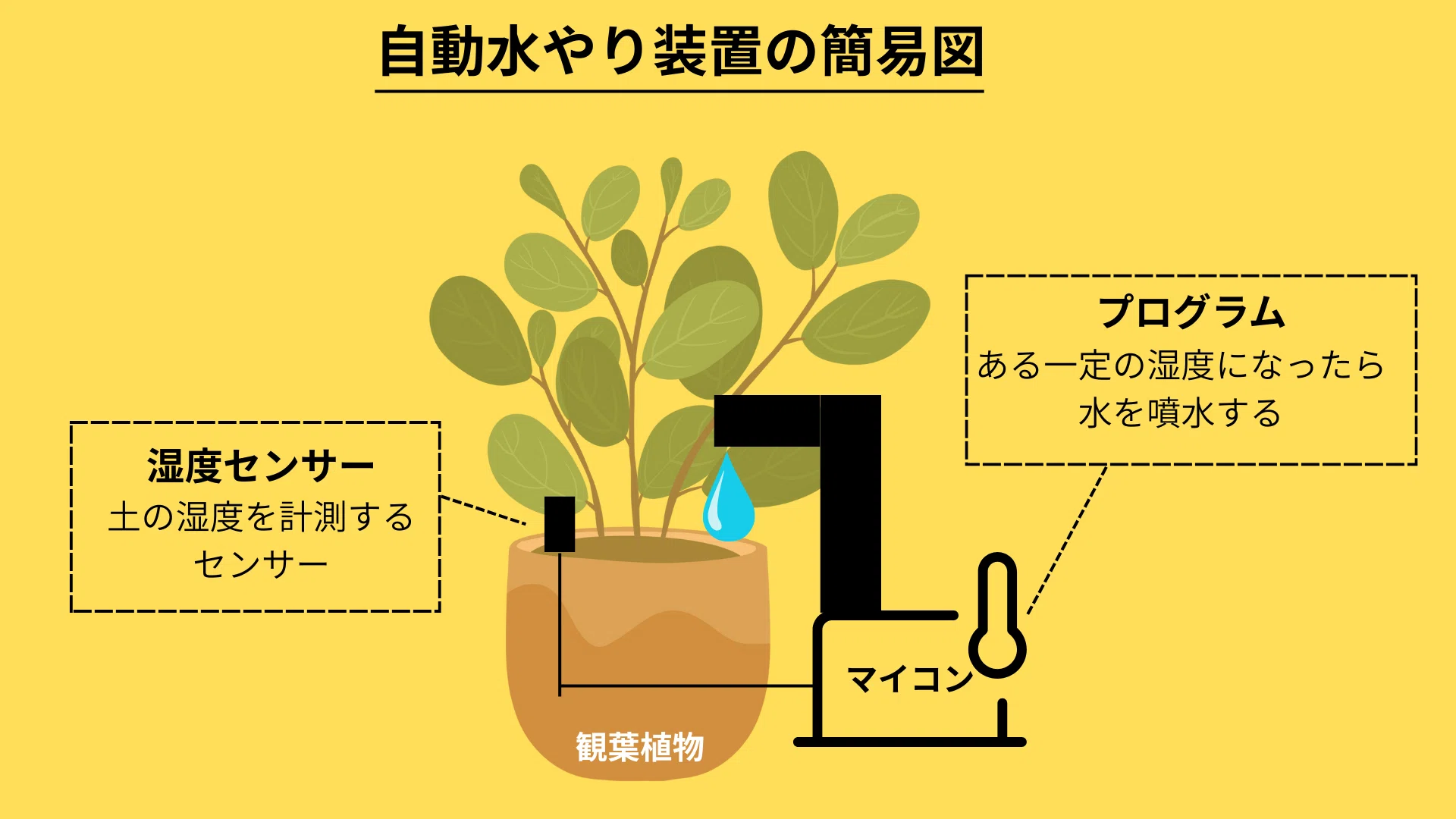 機械オンチがAIと一緒に「自動水やり装置」を開発した話。｜KEISUKE