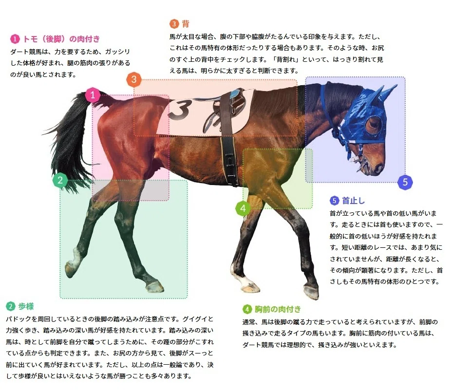 競馬予想における主要ファクターと分析手法｜タッチ