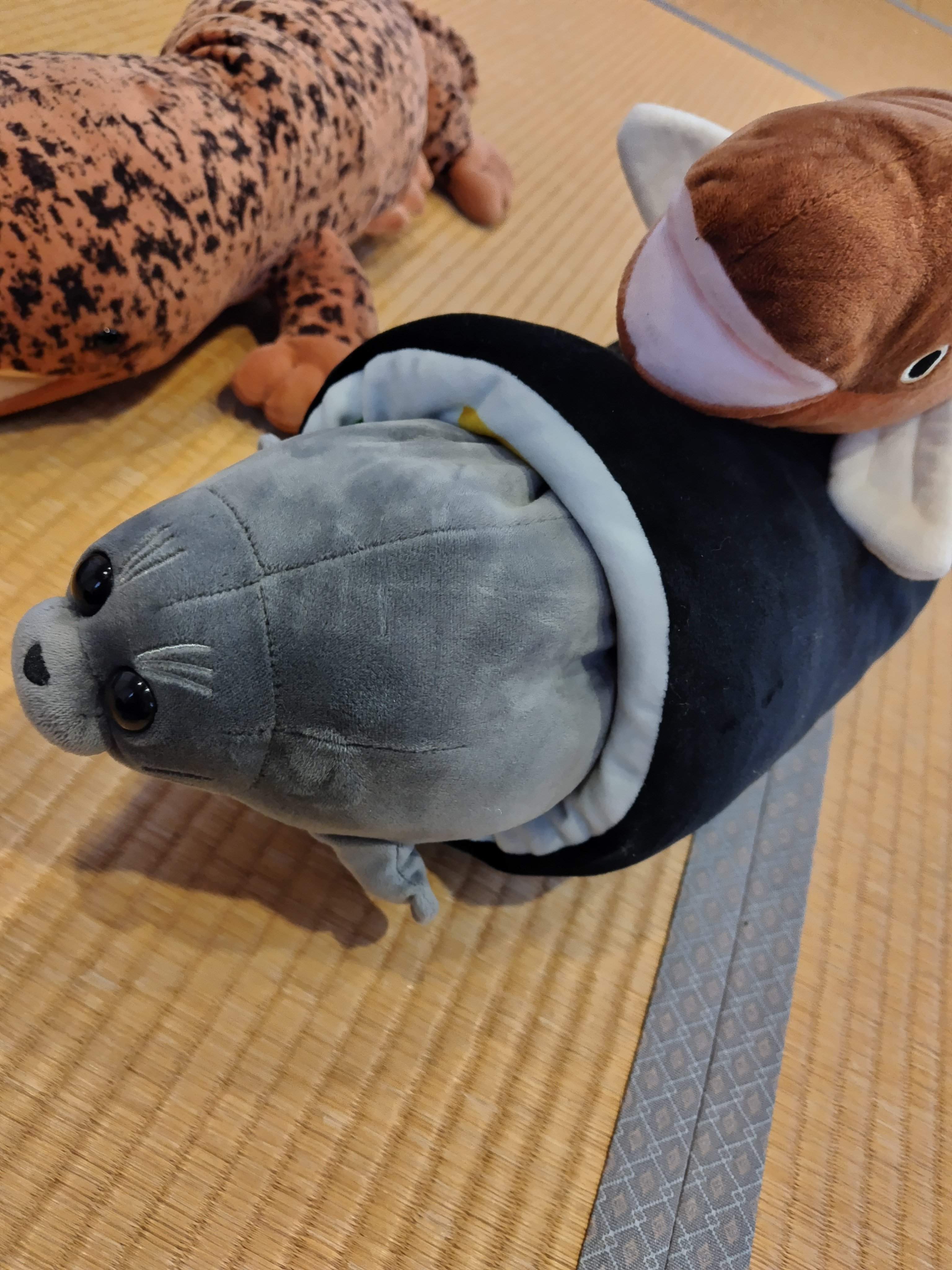 仙台うみの杜水族館にいってきたよ2024｜OAGE-TAITAN