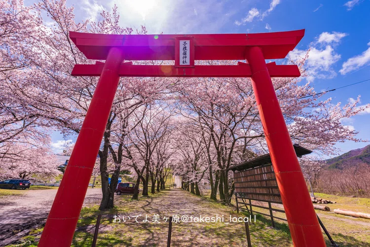 長野県上田市武石村の子檀嶺神社が全国カレンダーになるよ°˖☆◝(⁰▿⁰