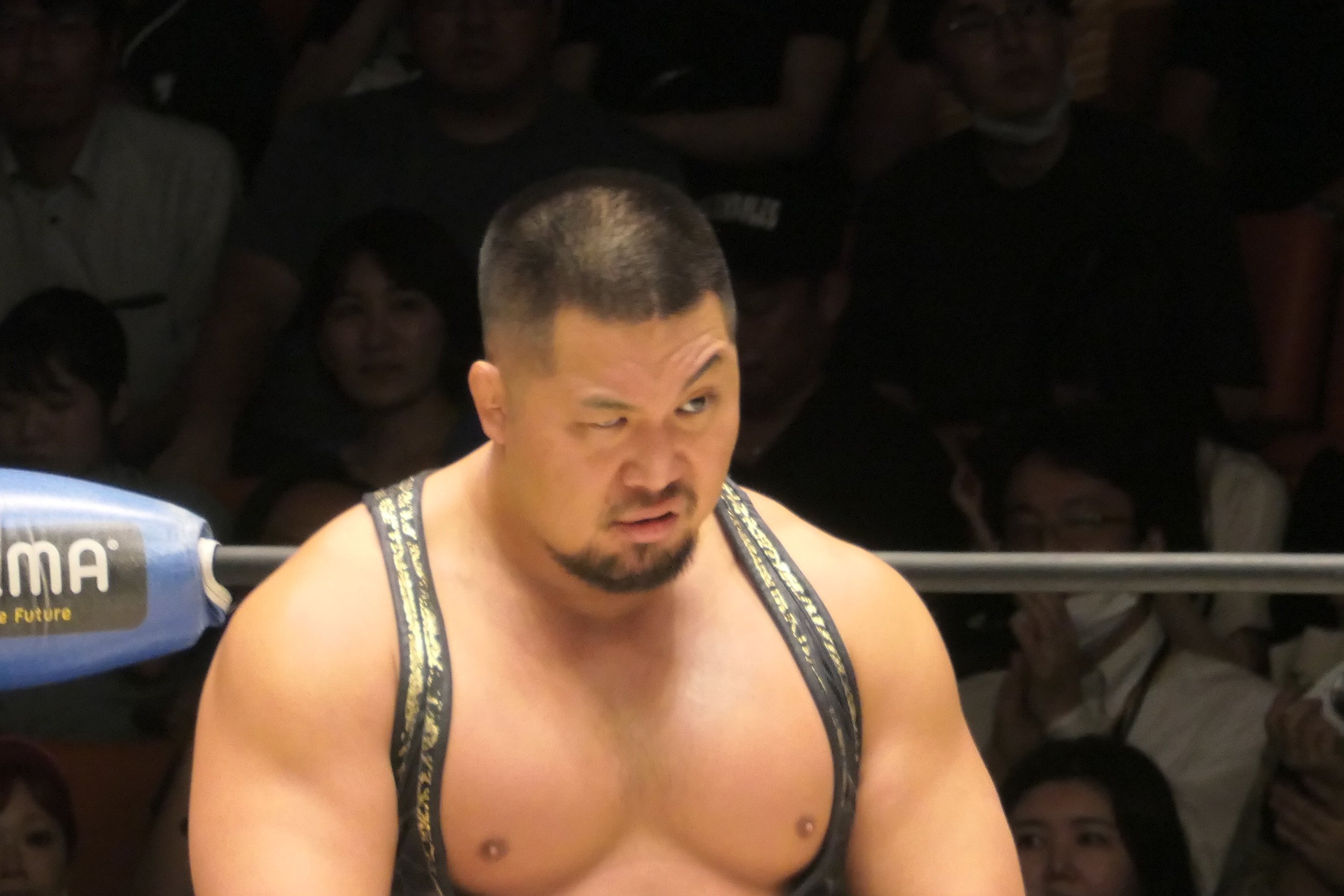 プロレスリング・ノア N-1VICTORY 2025開幕戦 9.8後楽園ホール｜ym1959