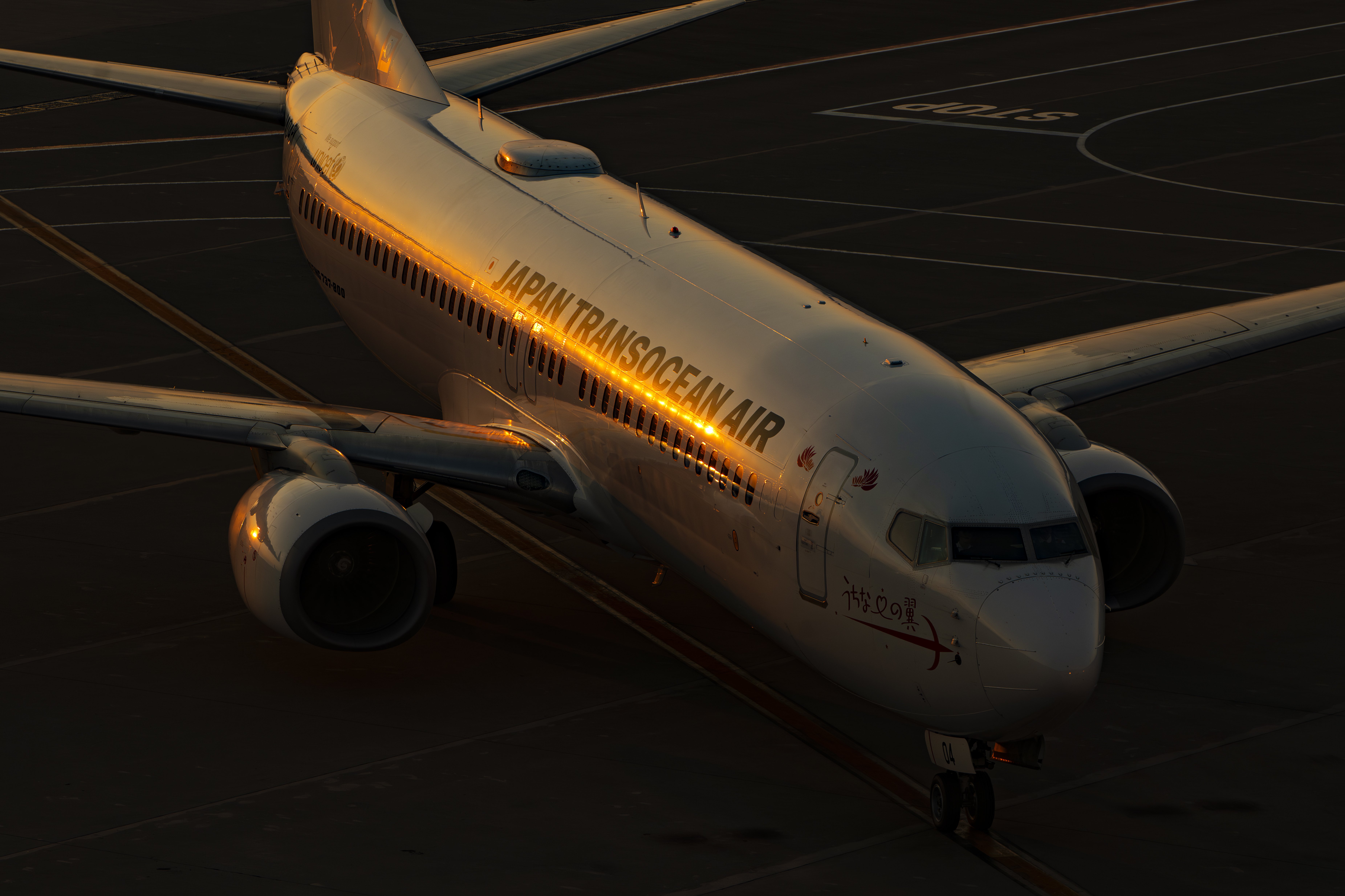 特別インタビュー】A☆50/Akira Igarashi × LUMIX S 100-500mm