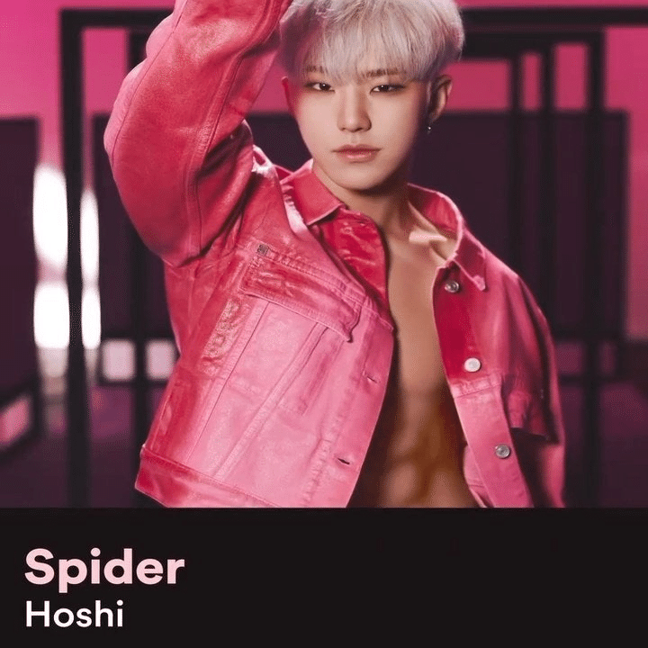 250807]HOSHI X WOOZI FAN CONCERT 