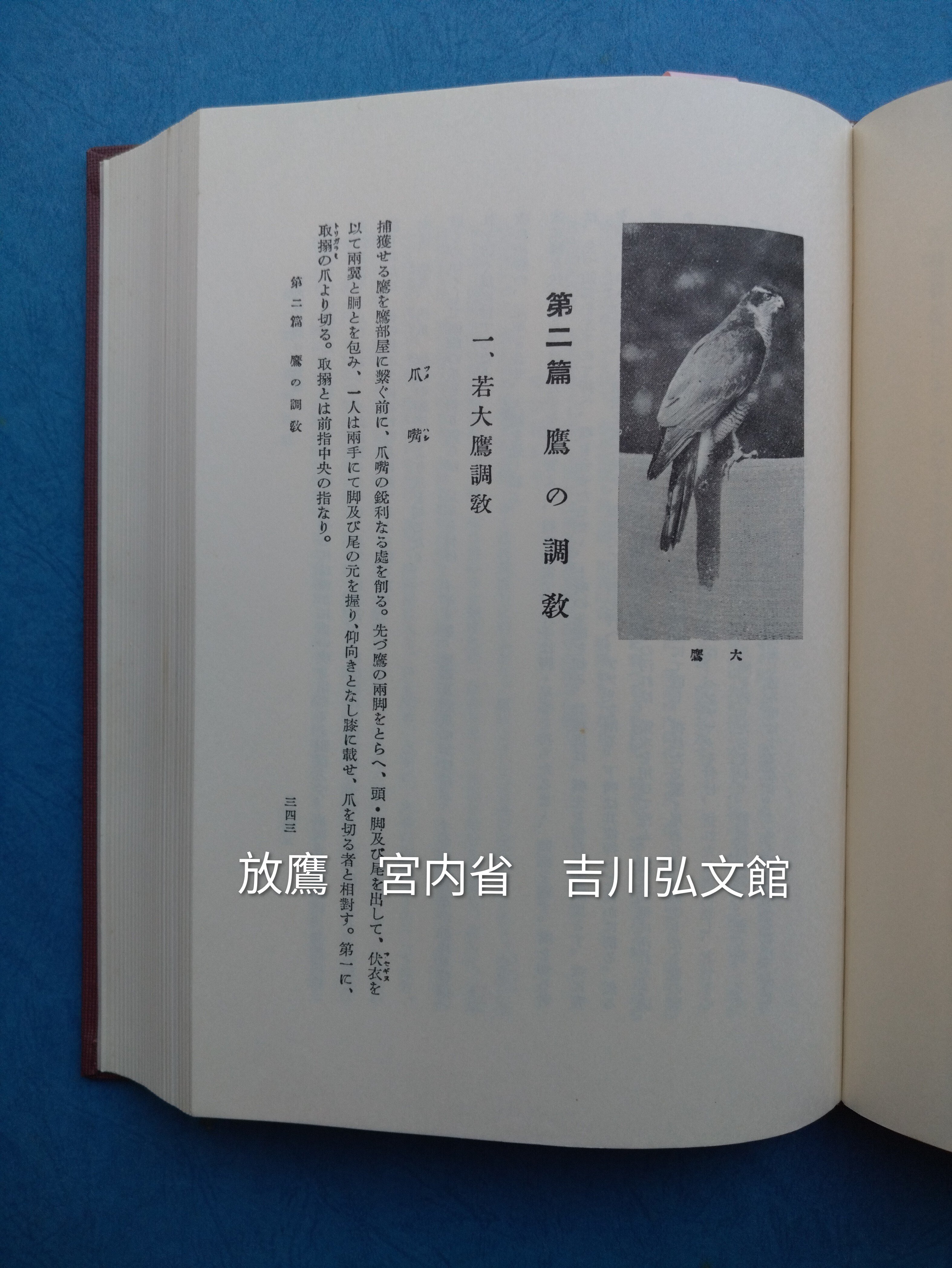 【廃盤】放鷹 復刊 廃盤】放鷹 復刊