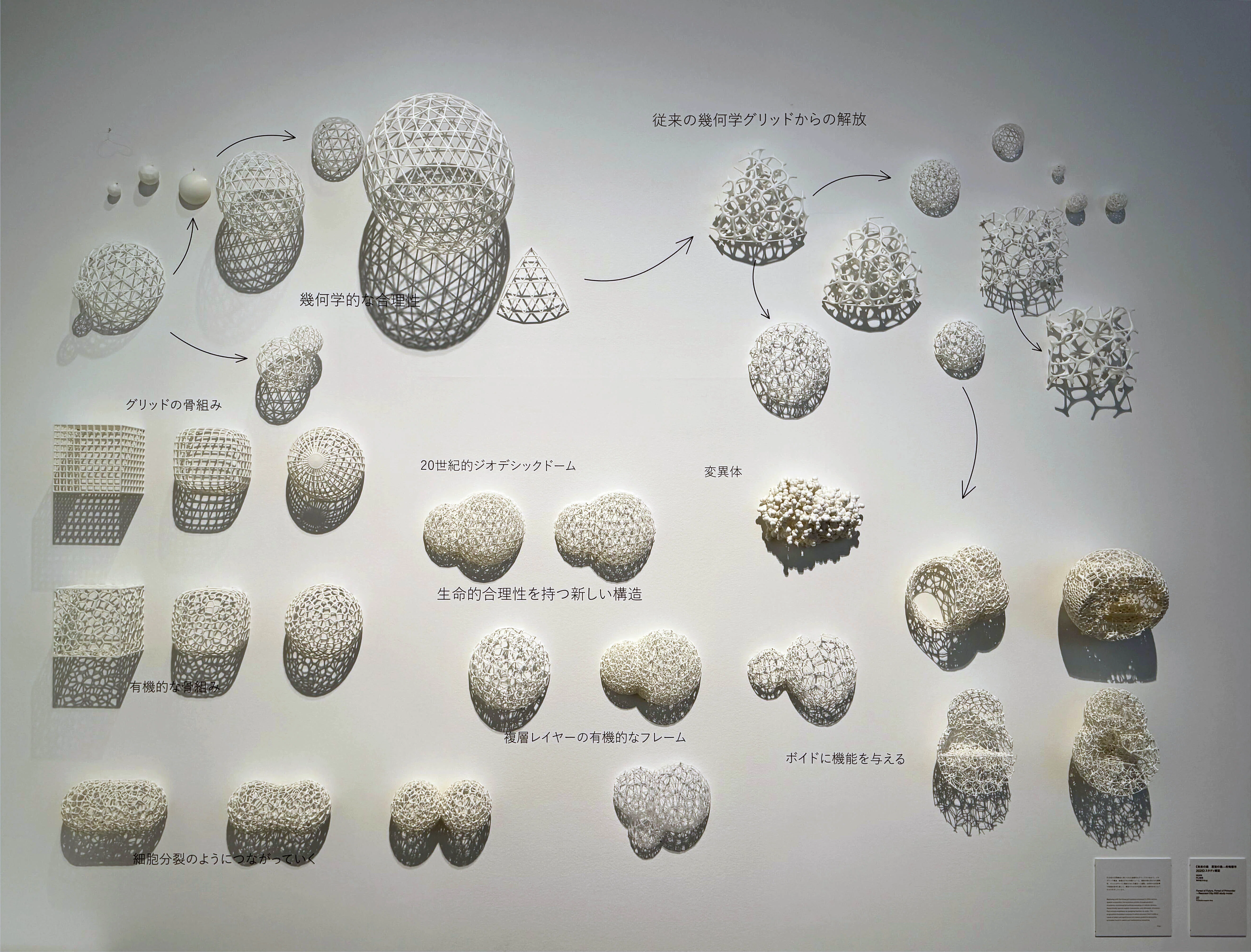 美術展2025#79】藤本壮介の建築 原初・未来・森＠森美術館｜mata