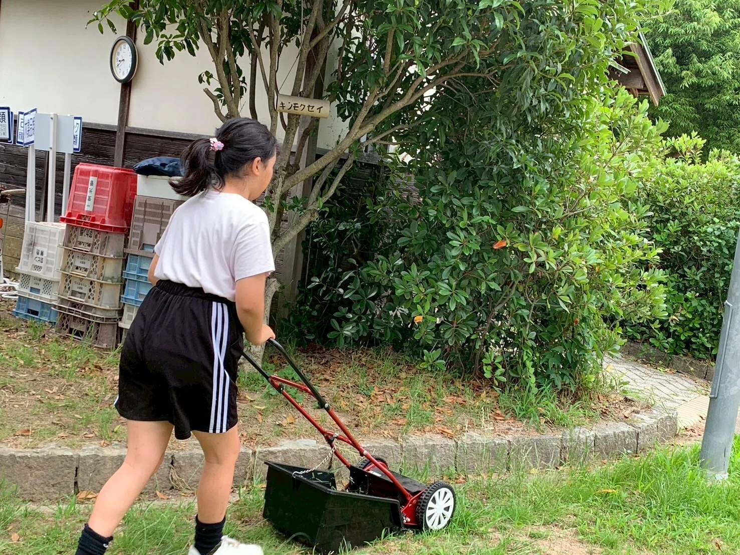 公園の草刈りの大変さと、モノの量は比例する説｜スローソサエティ/城