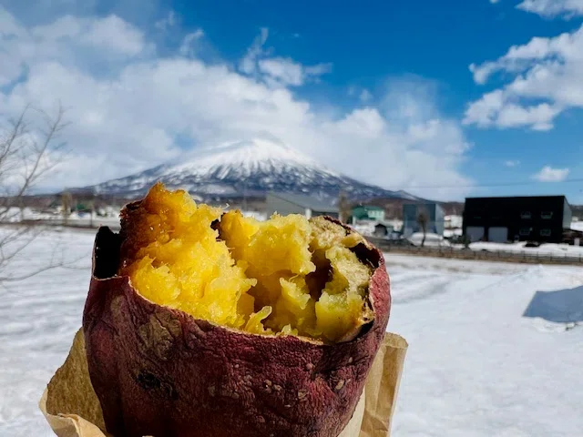 ニセコ町で農業を事業継承！🍠サツマイモ／「シルクスイート」と「紅