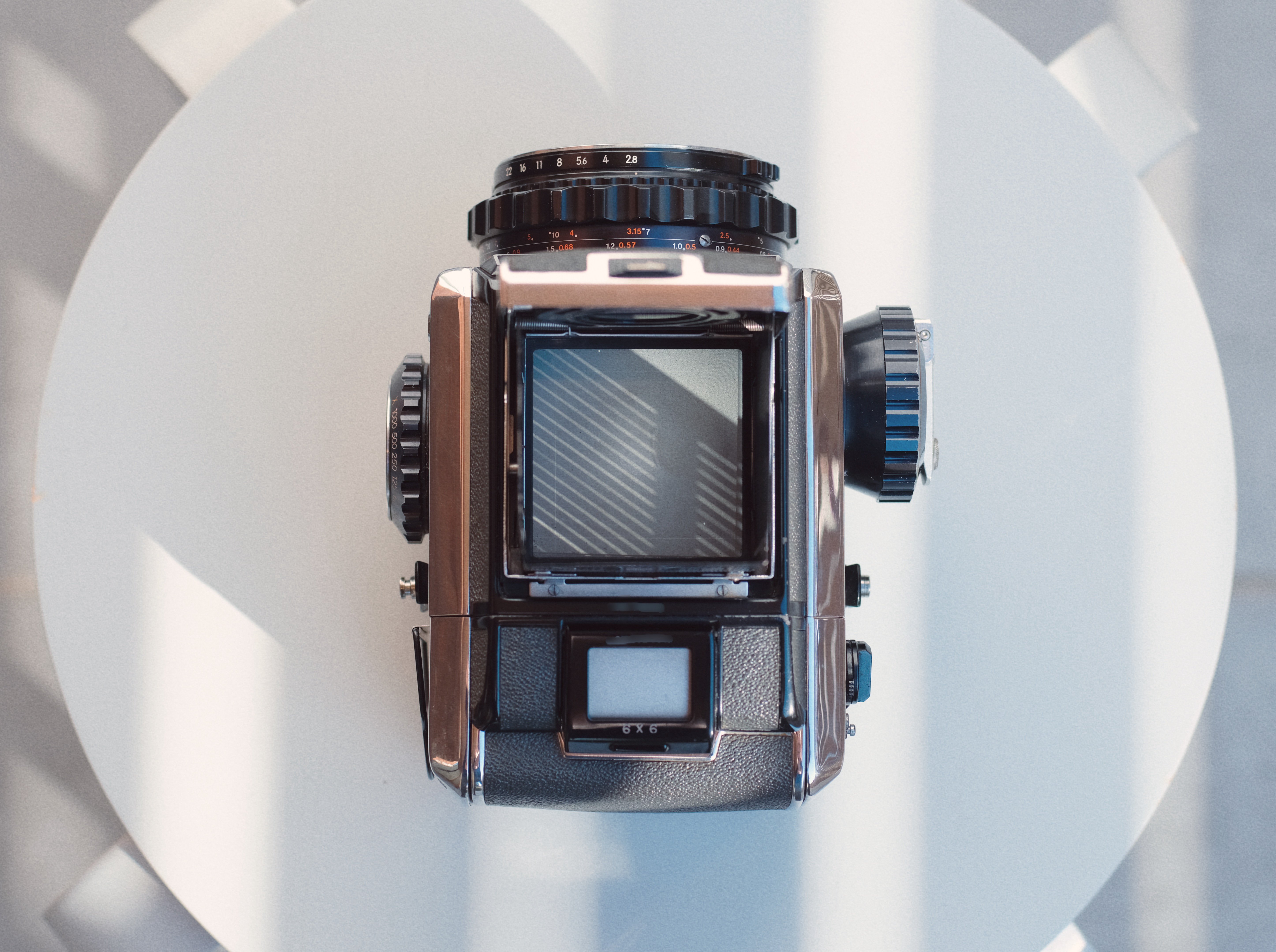 Film Roll】 Zenza Bronica S2×冬の暑い公園｜Feb. 2024｜本間 恭介