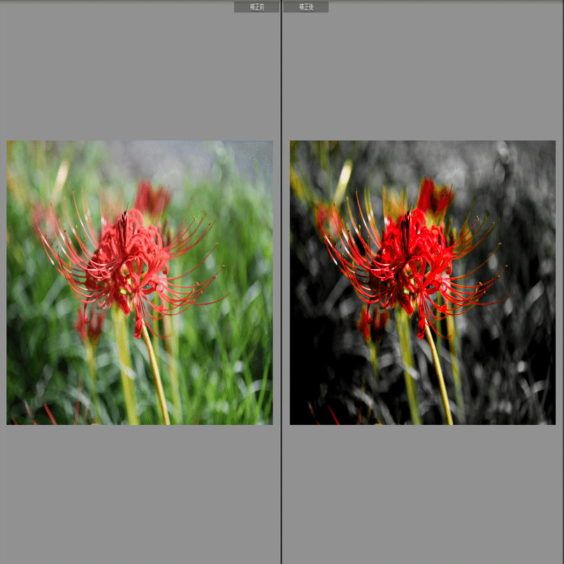吉原彼岸花　3点セット 実用的で特別なプレゼント ミニハンカチとおしゃれな香りの