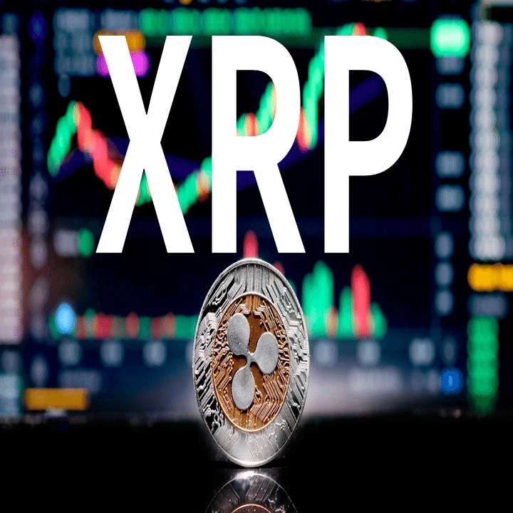 なぜ今、XRPリップルが強気なのか？｜カバぴー@FX×BO×仮想通貨｜フォロバ１００