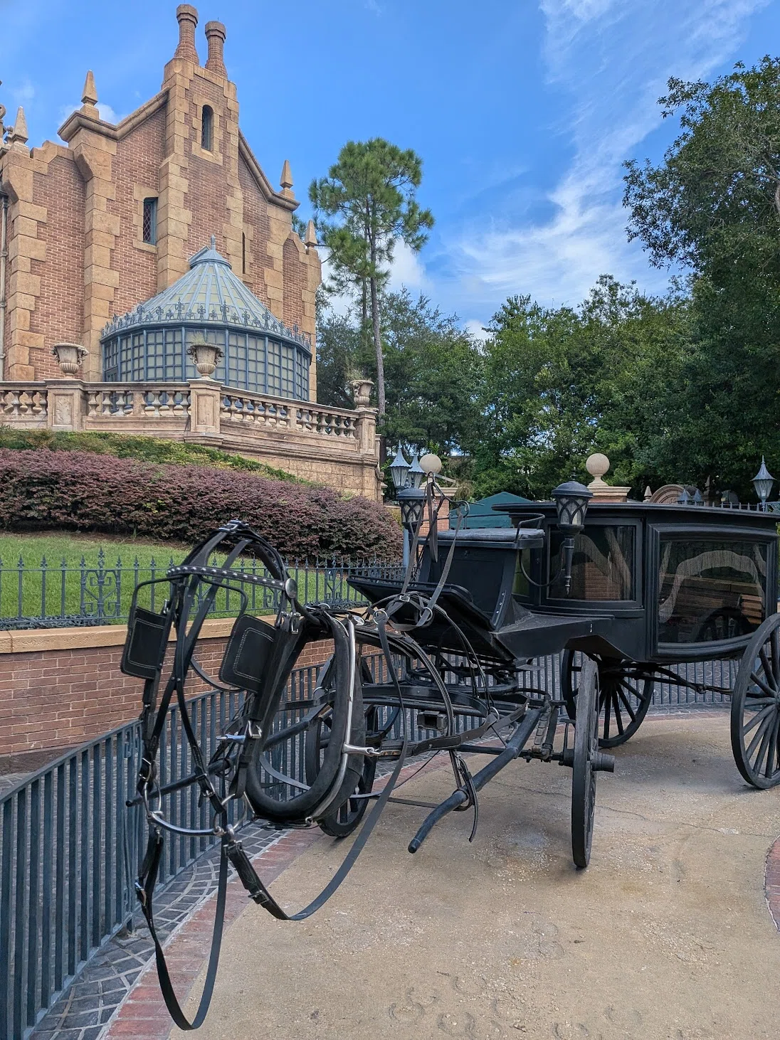WDW旅行記 #3】 王道のマジック・キングダム！感動とハプニングの1日