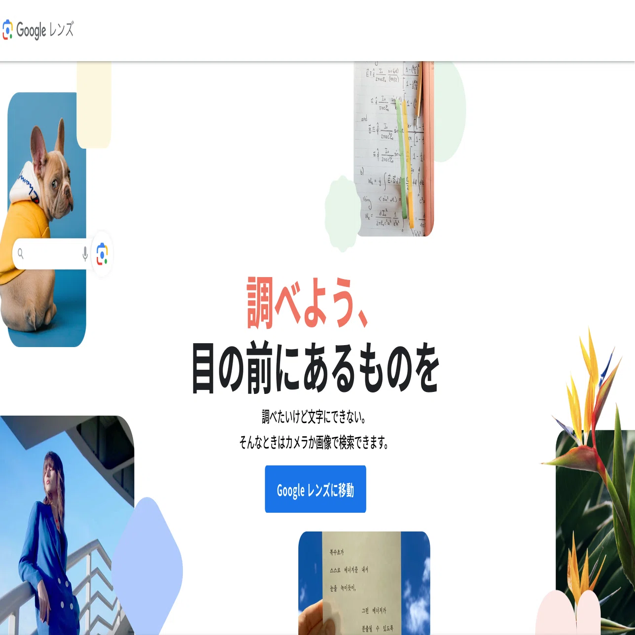 コレすごい！】Googleレンズの画像検索機能の「意外と知らない便利な