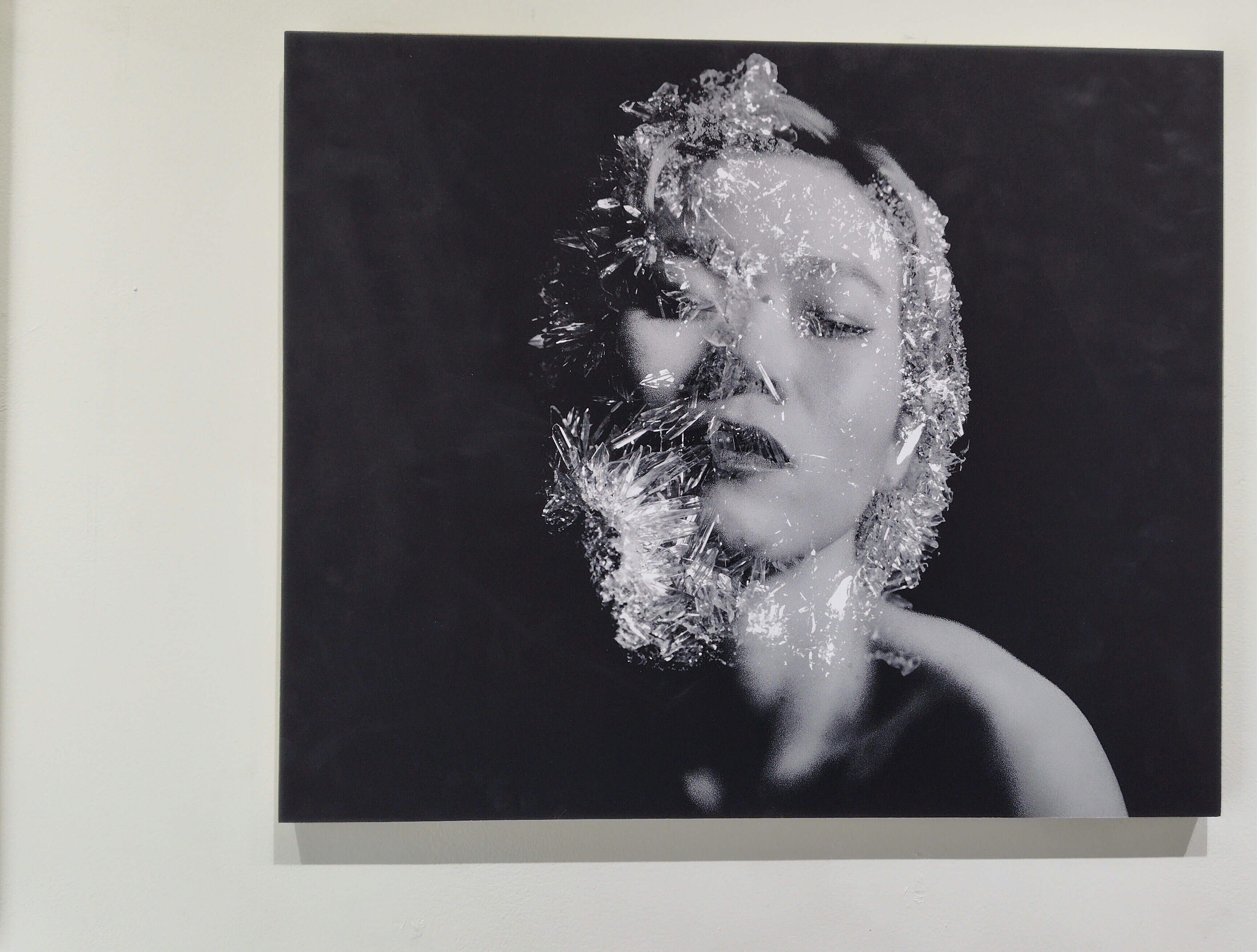 芸術 工芸青花 17号 | 本 | 工芸青花 kogei-seika