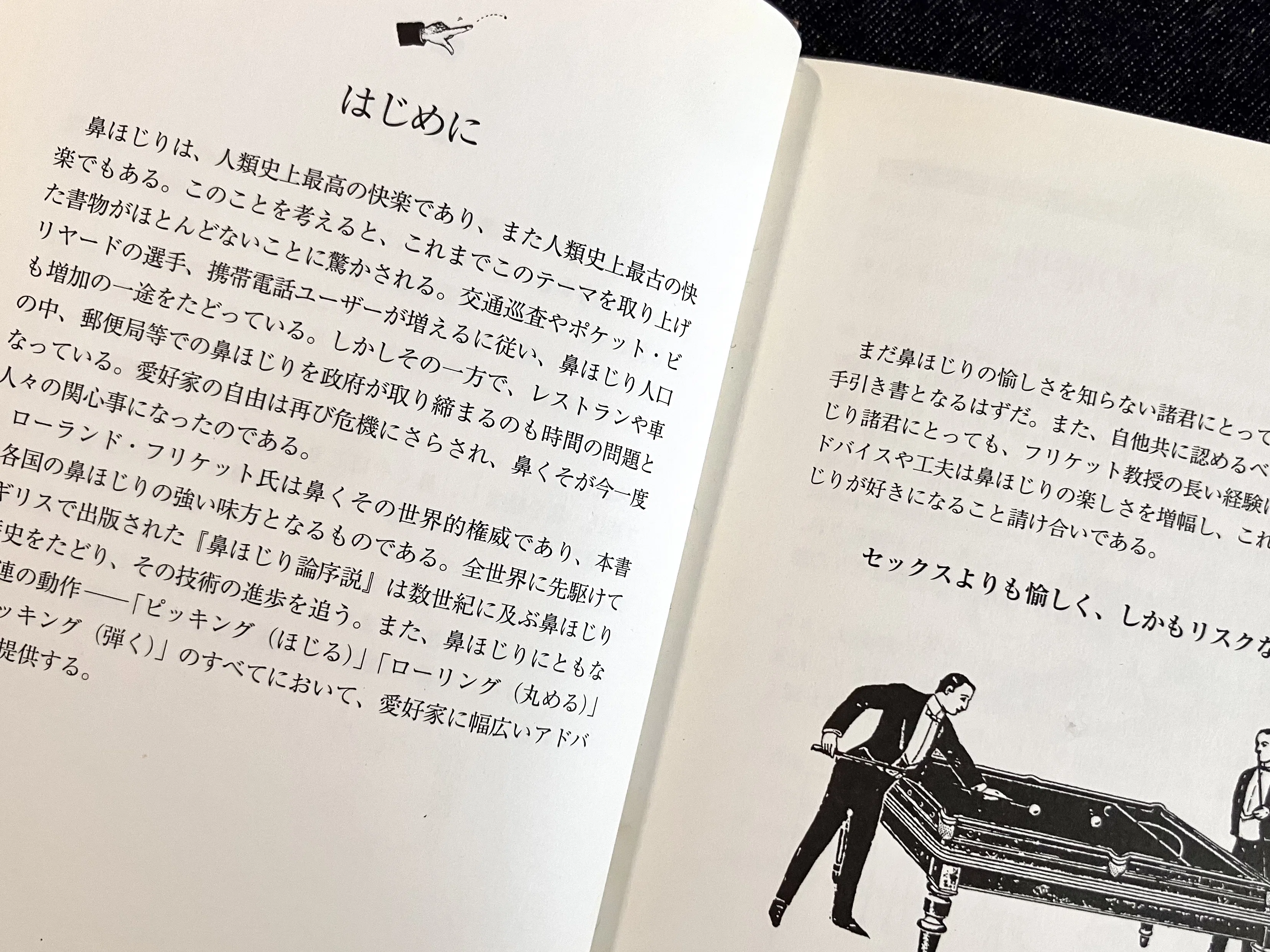 わたしのつれづれ読書録』 by 秋光つぐみ ｜ #98 『鼻ほじり論序説