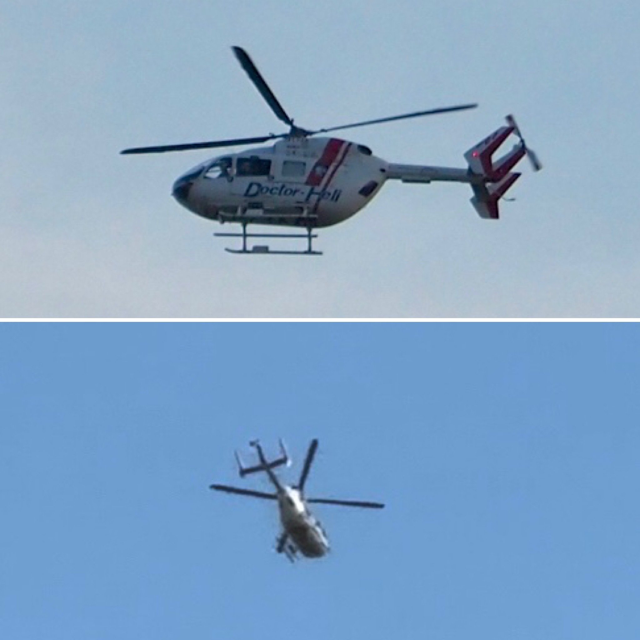 クロスランドおやべ・ヘリフェス2025｜しろくろ