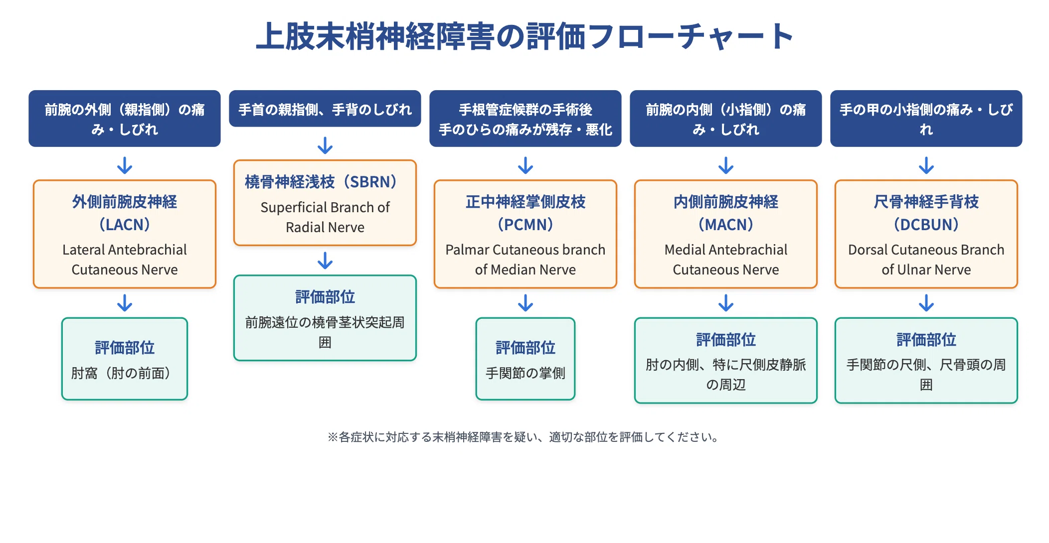 理学療法士の思考革命】Genspark AIスライドで、面倒なフローチャート