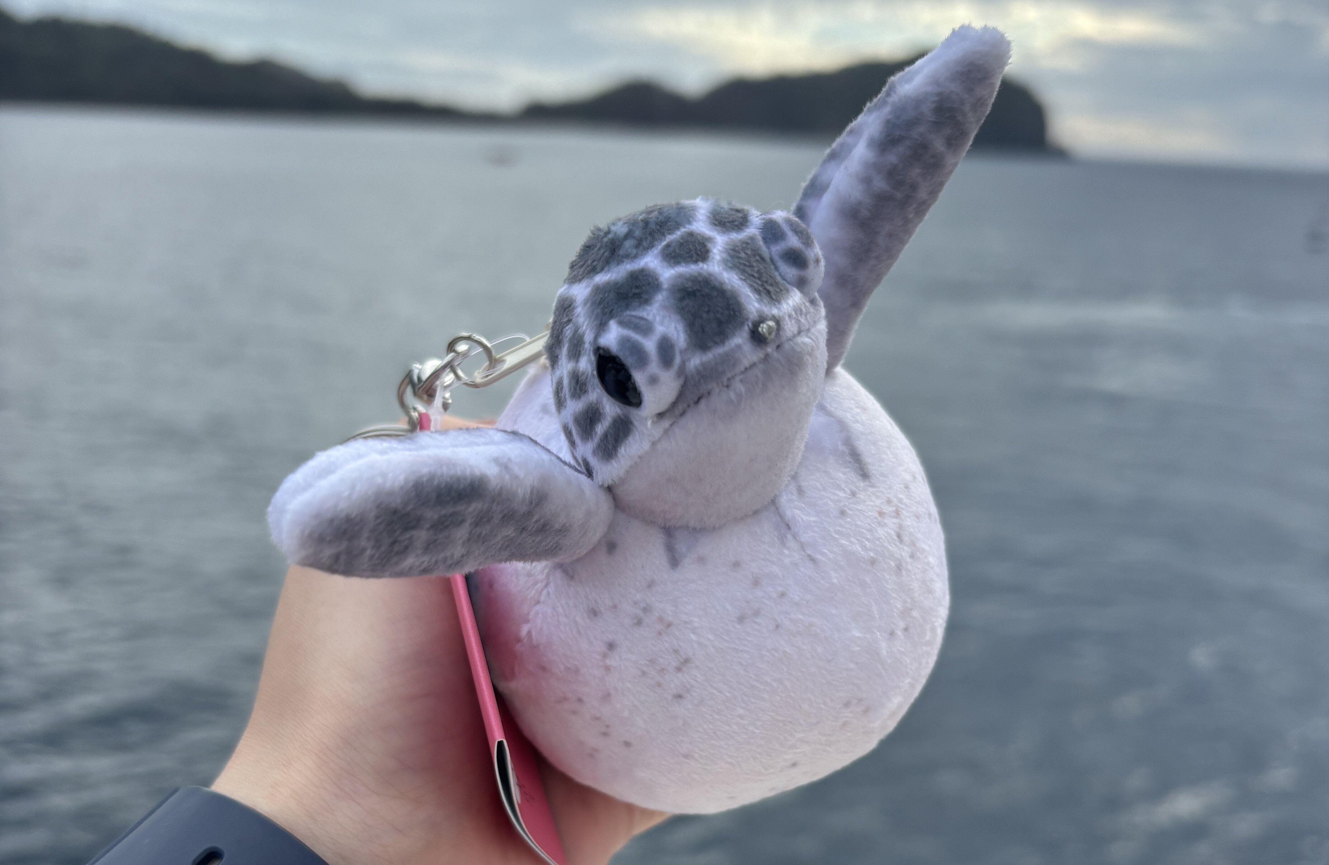 【最終値下げ】ご当地キティ 小笠原諸島 ウミガメなど5点 最終値下げ】ご当地キティ 小笠原諸島 ウミガメなど5点 最終